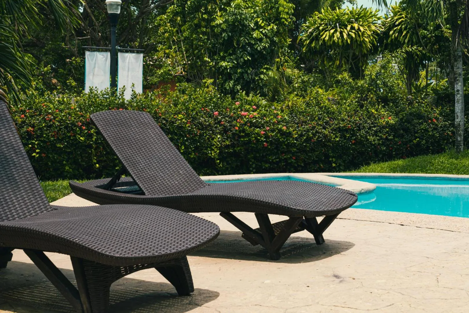 Swimming pool in Hotel Cañada Internacional