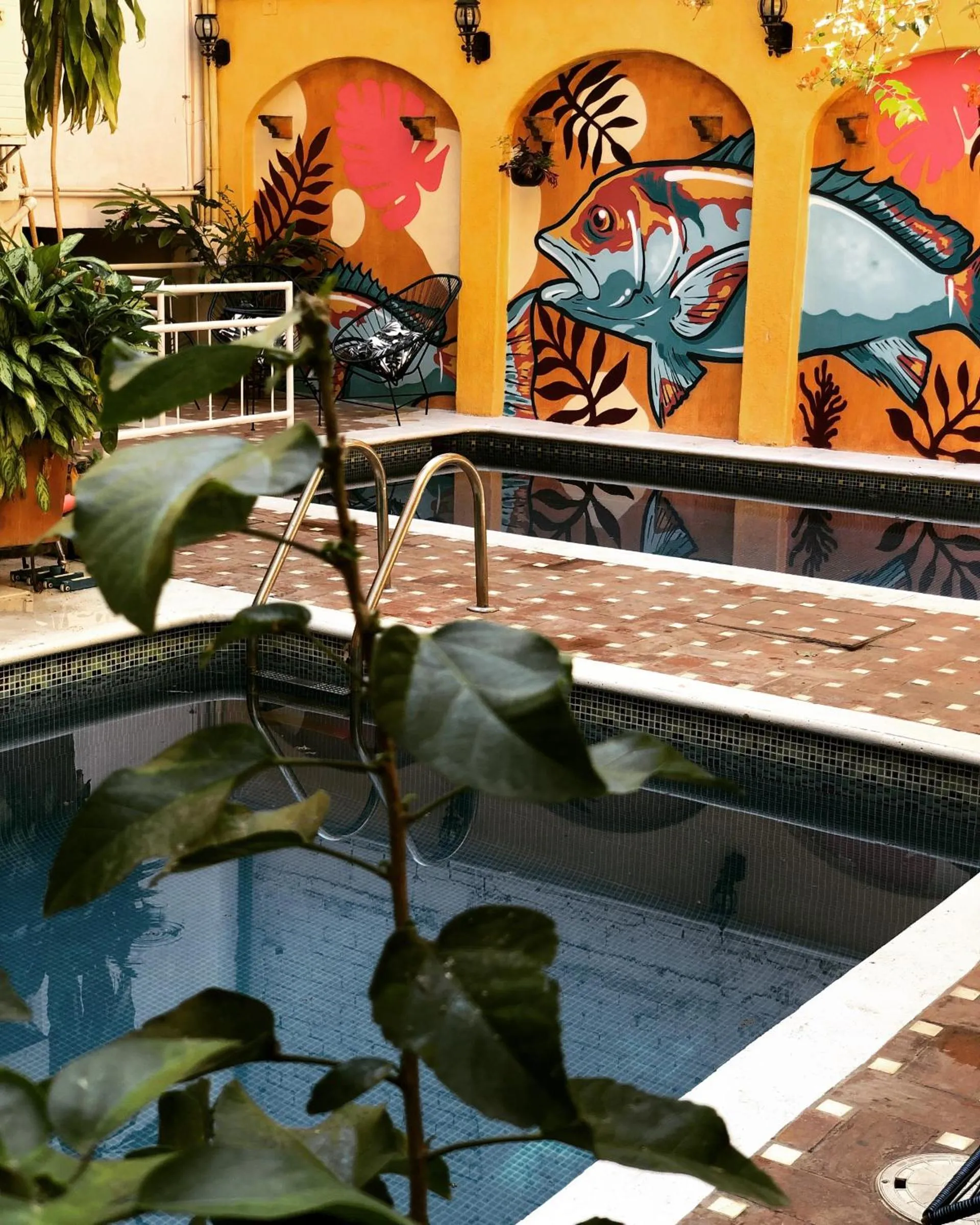 Swimming pool in Pargos Hotel & Cowork