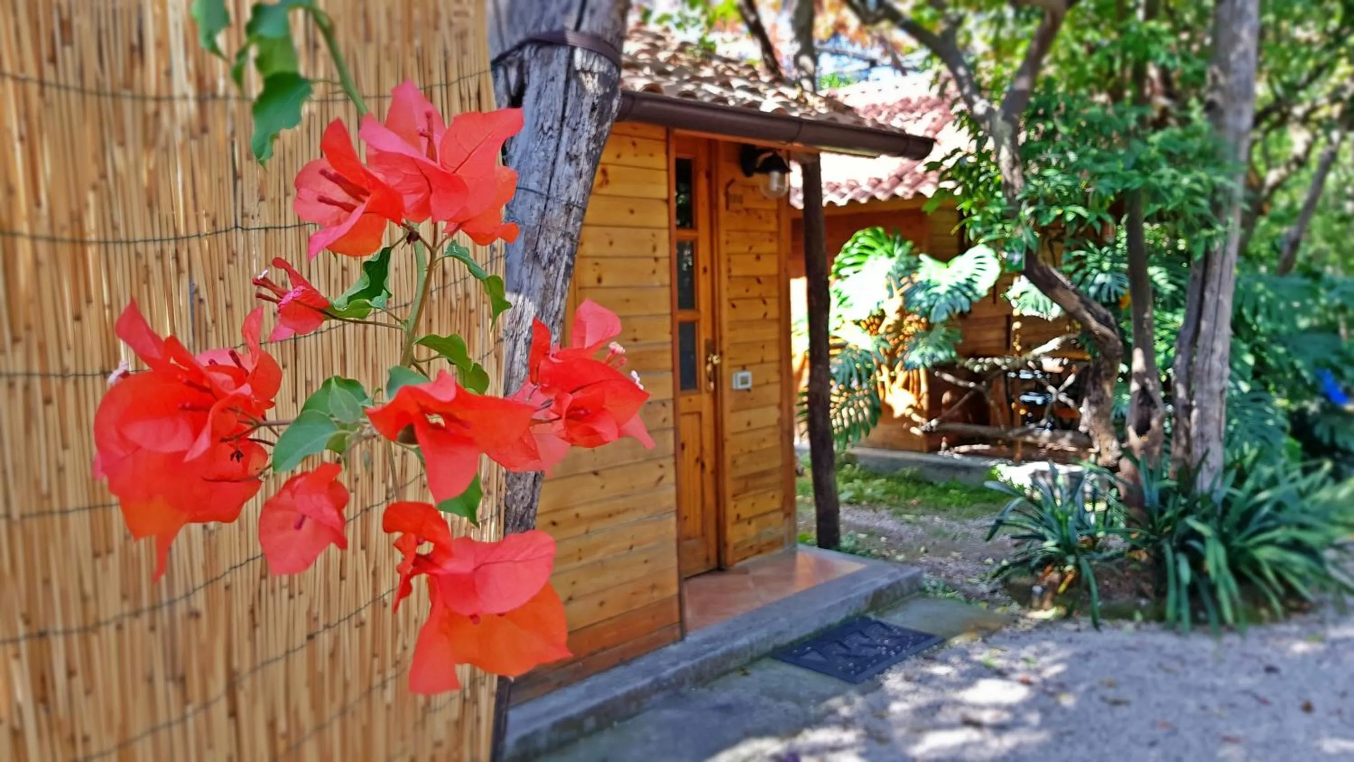 Decorative detail in Residence Villaggio Verde