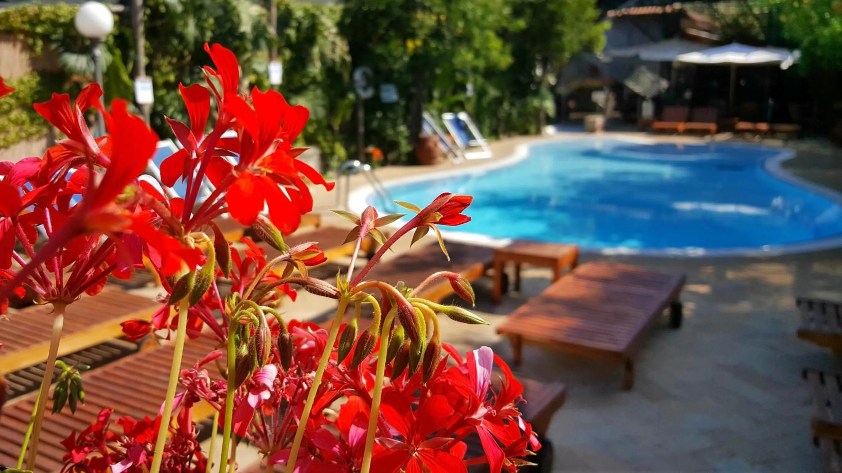 Swimming pool in Residence Villaggio Verde