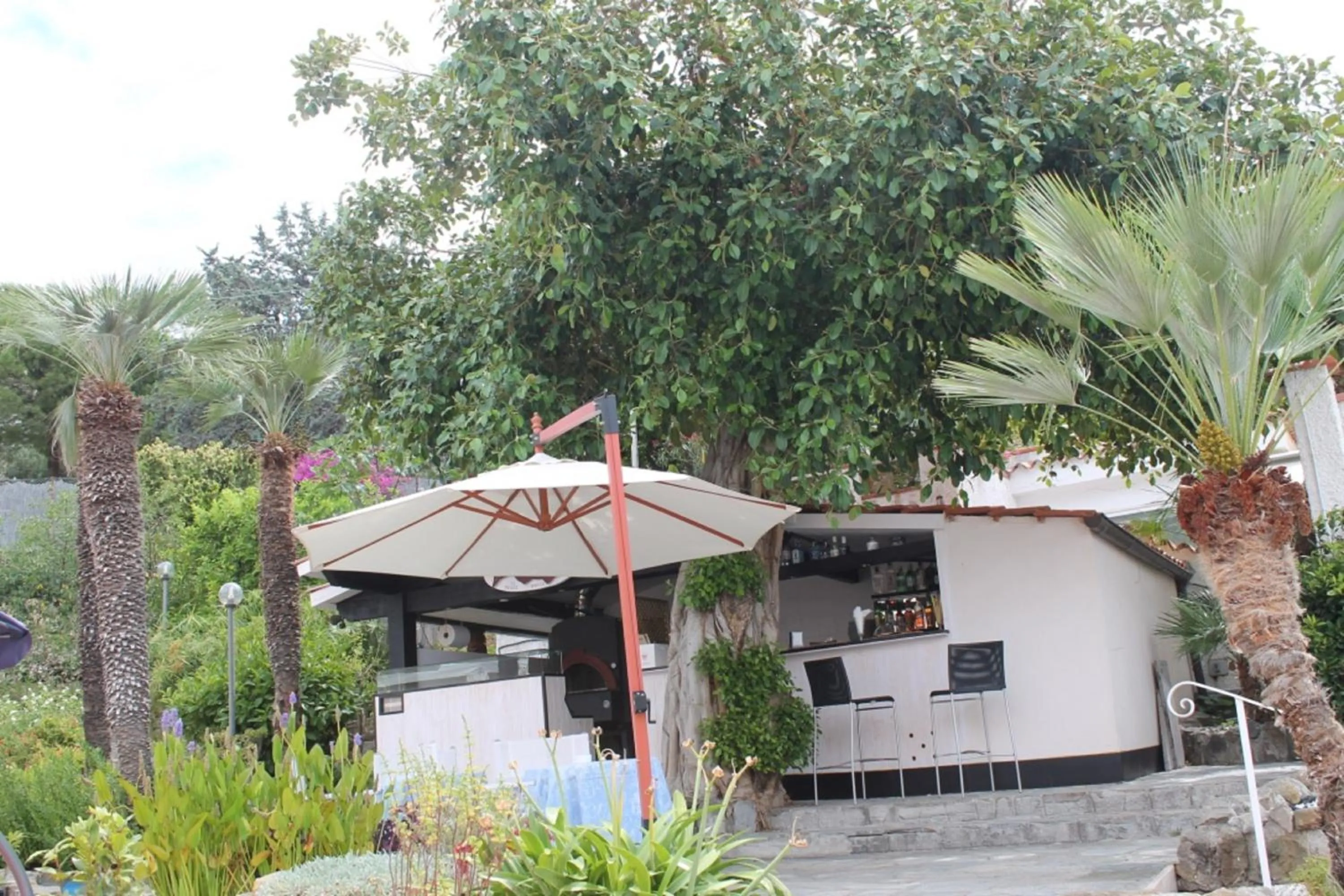 Garden in Hotel Ariston Montecarlo