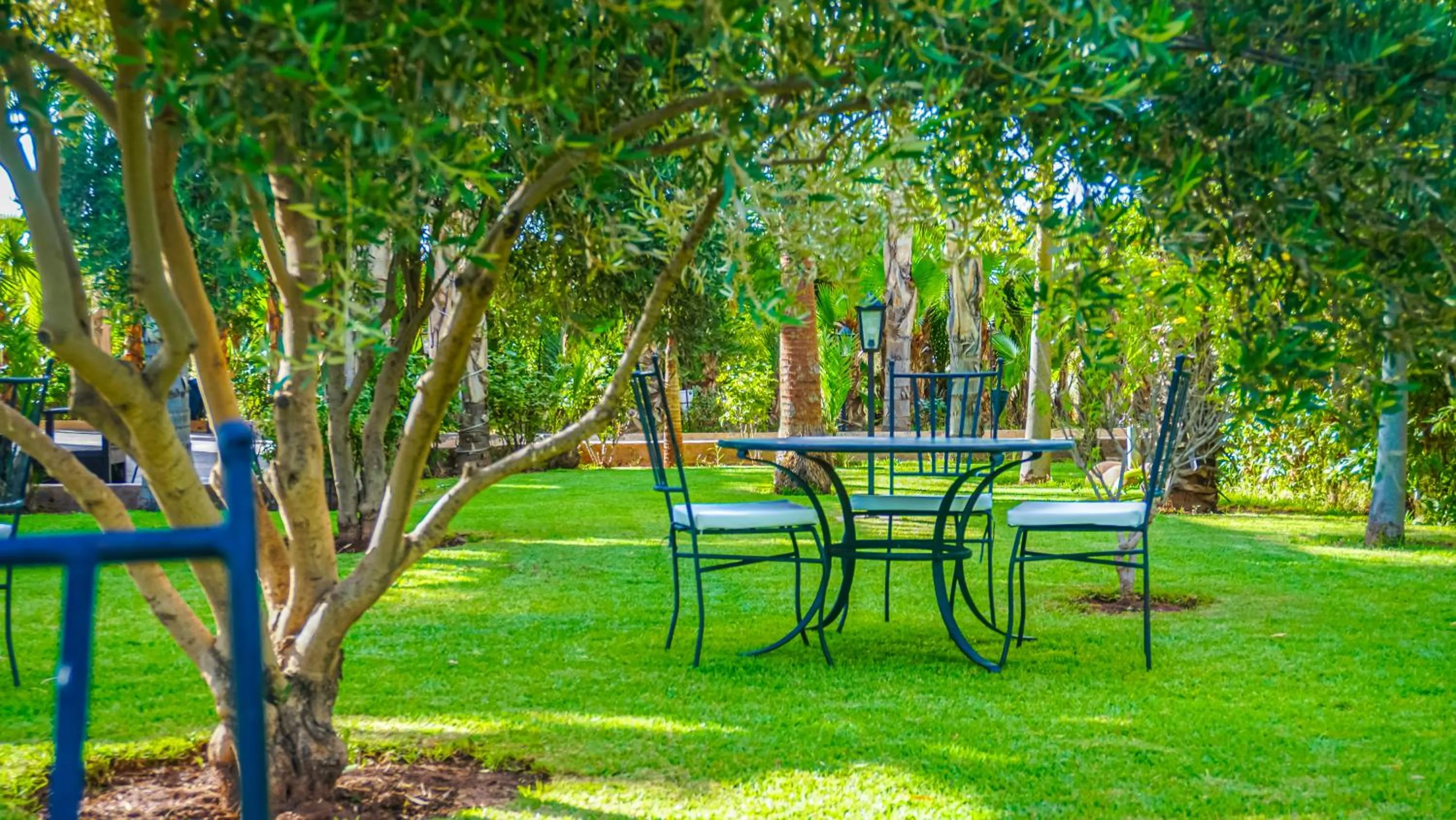 Garden in Weedan Hôtel Marrakech