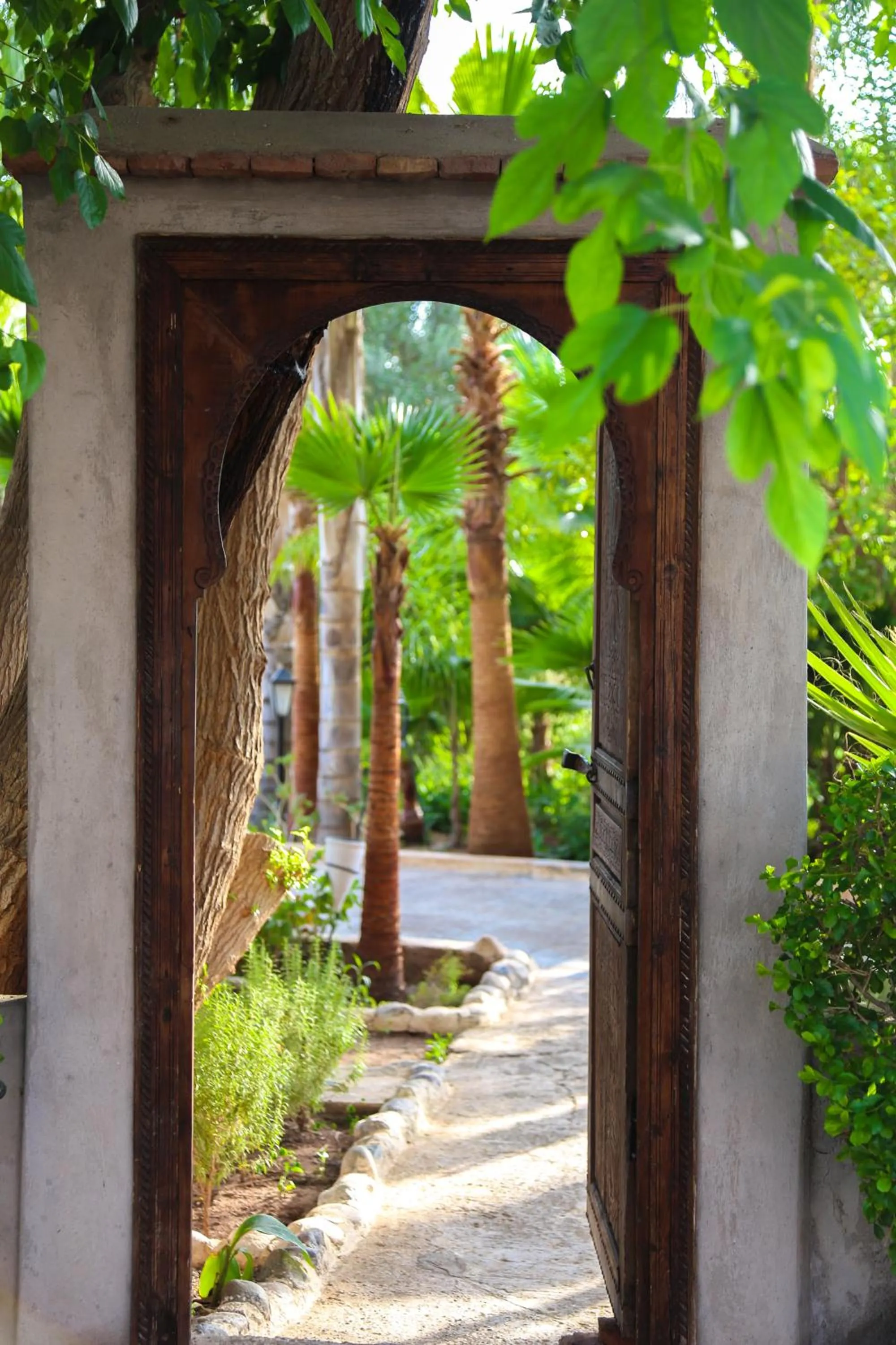 Garden in Weedan Hôtel Marrakech