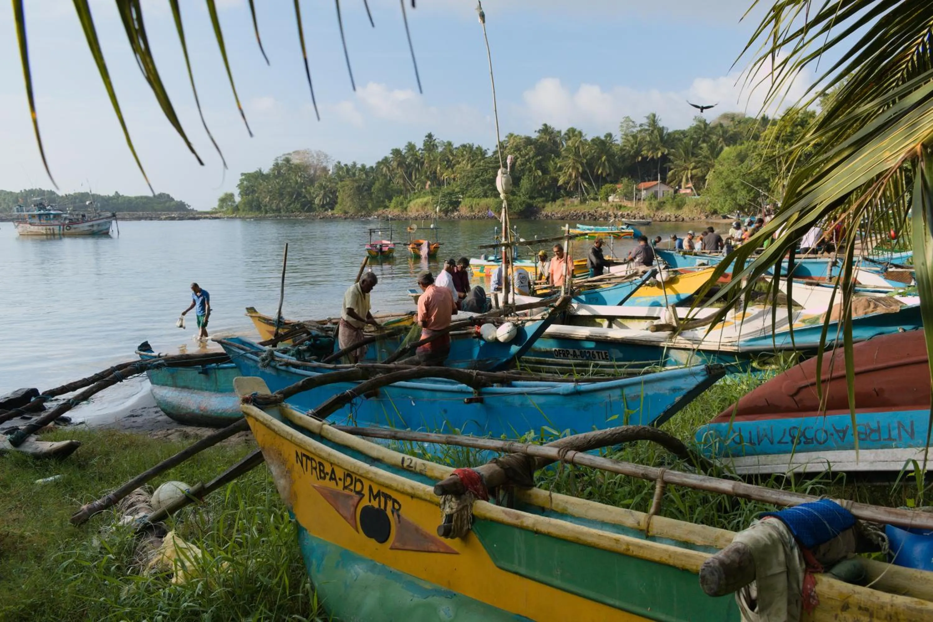 Activities in Smeralda Resorts Dikwella