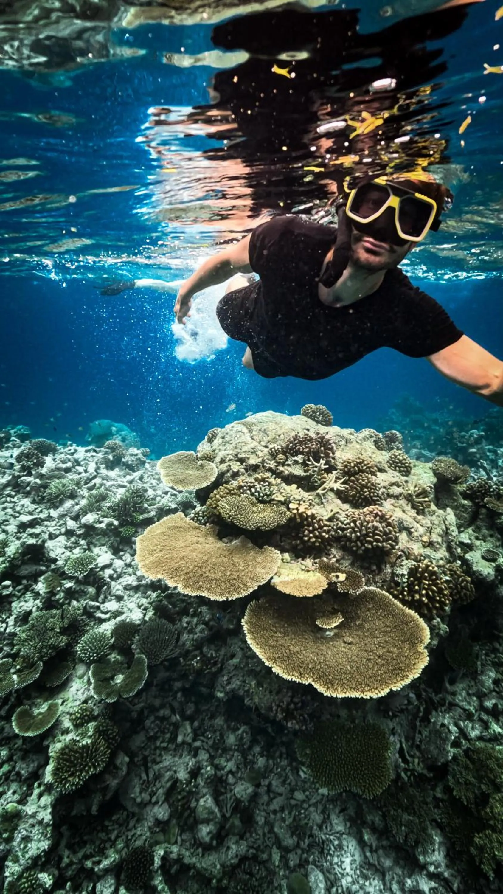 Snorkeling in Sands Grand