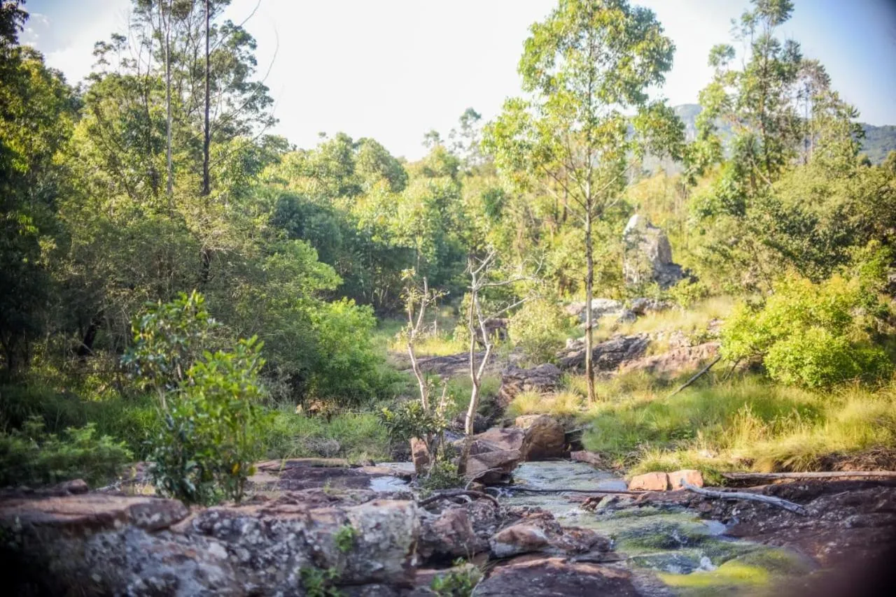 Harnham Mountain Lodge