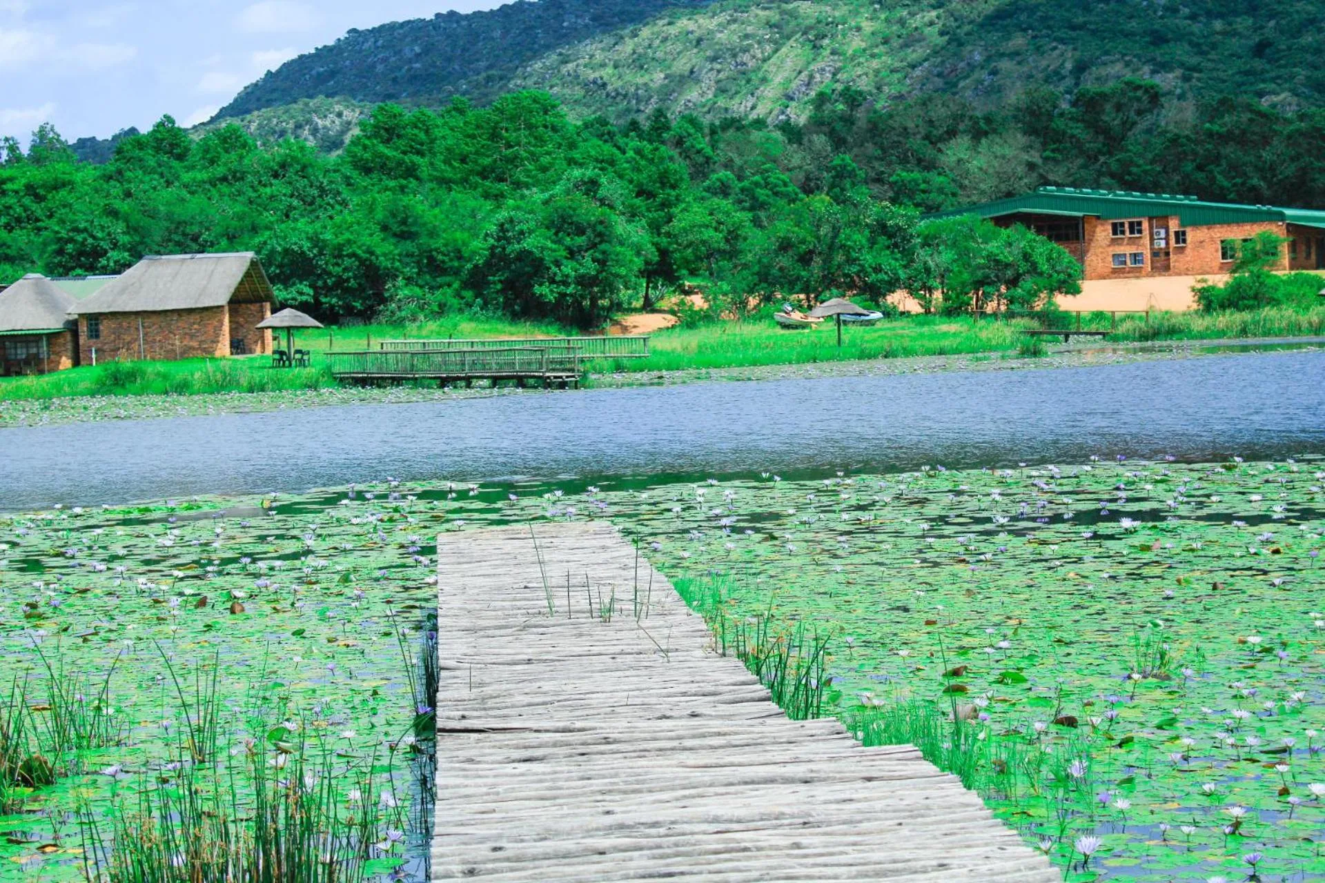 Harnham Mountain Lodge