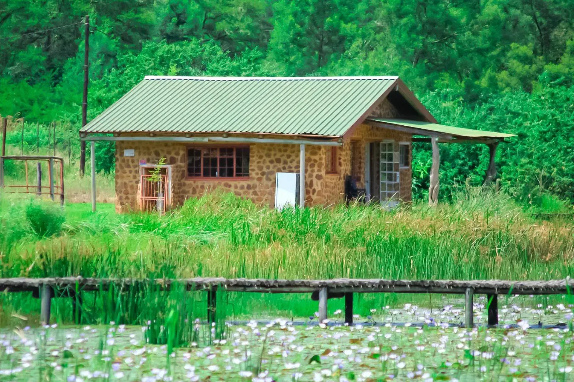 Chalet - single occupancy in Harnham Mountain Lodge Chalet - single occupancy in Harnham Mountain Lodge