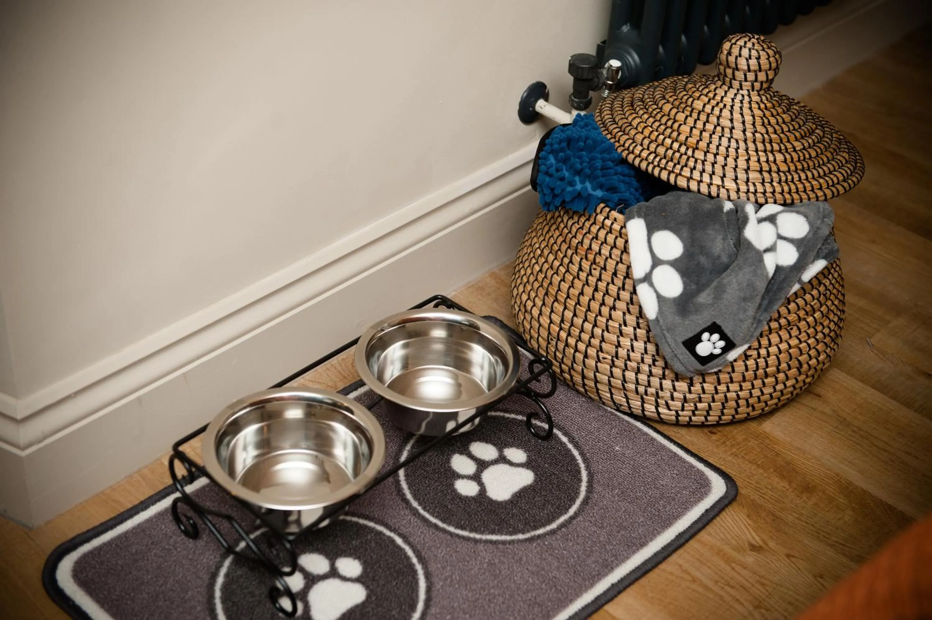 Pets in The Duke on The Test