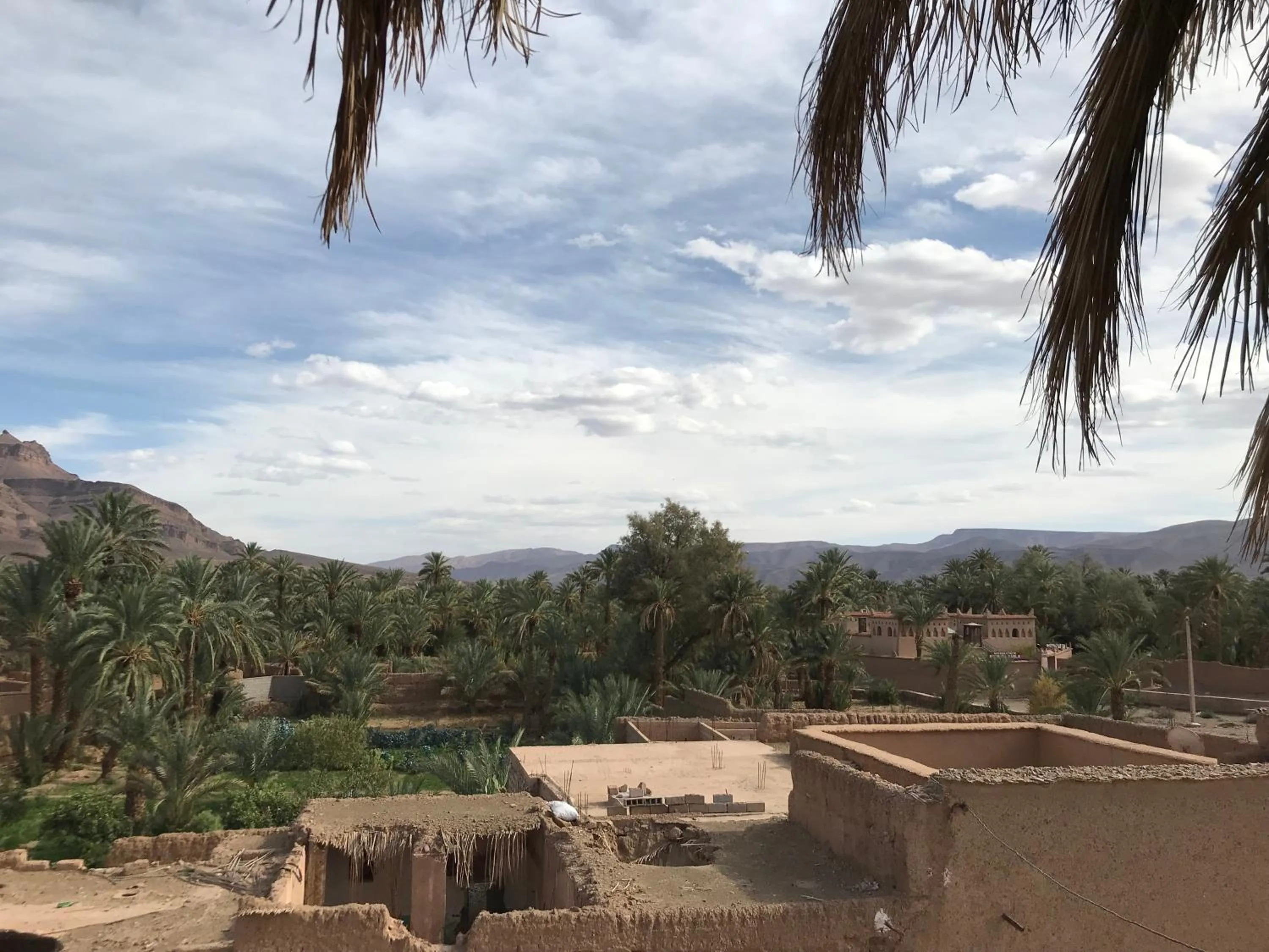 Garden view in Dar Amazir