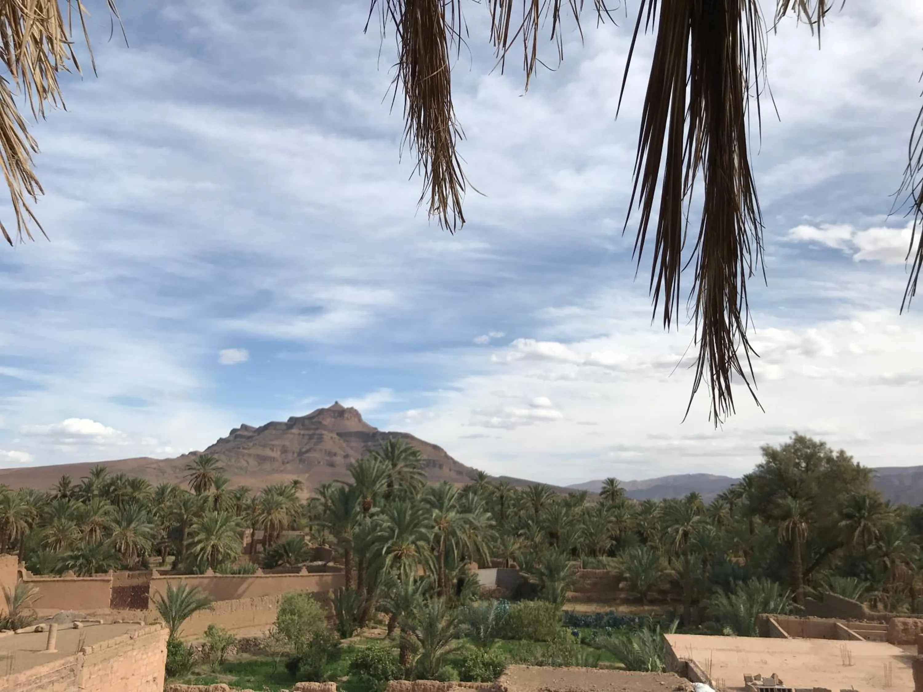 Garden view in Dar Amazir