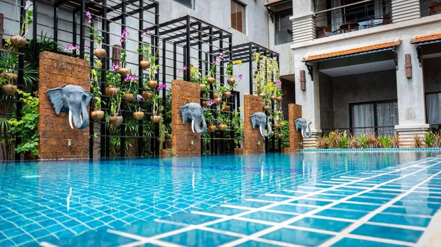 Swimming pool in Grange