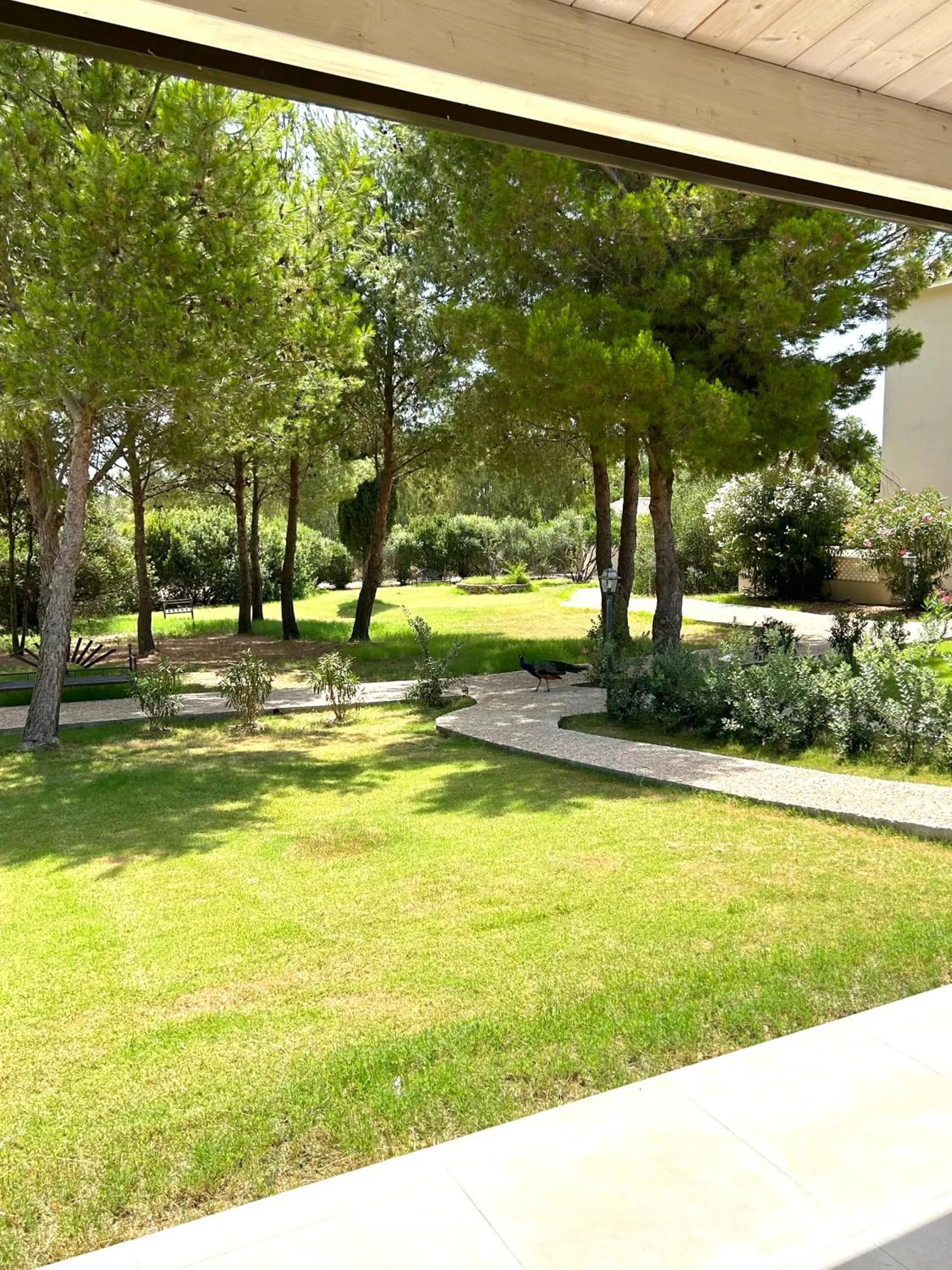 Garden in Villa Cavalieri Country Hotel