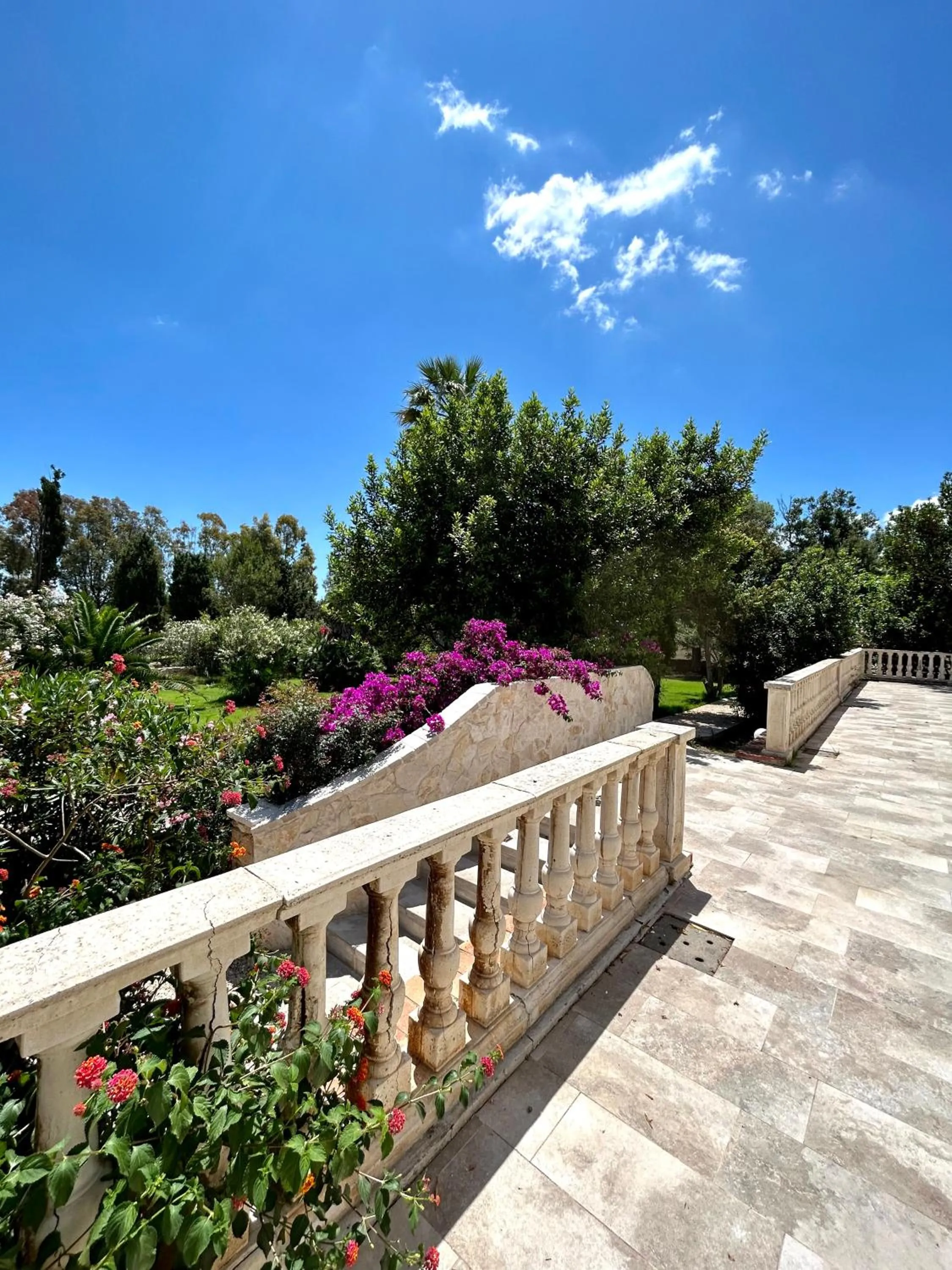 Garden view in Villa Cavalieri Country Hotel