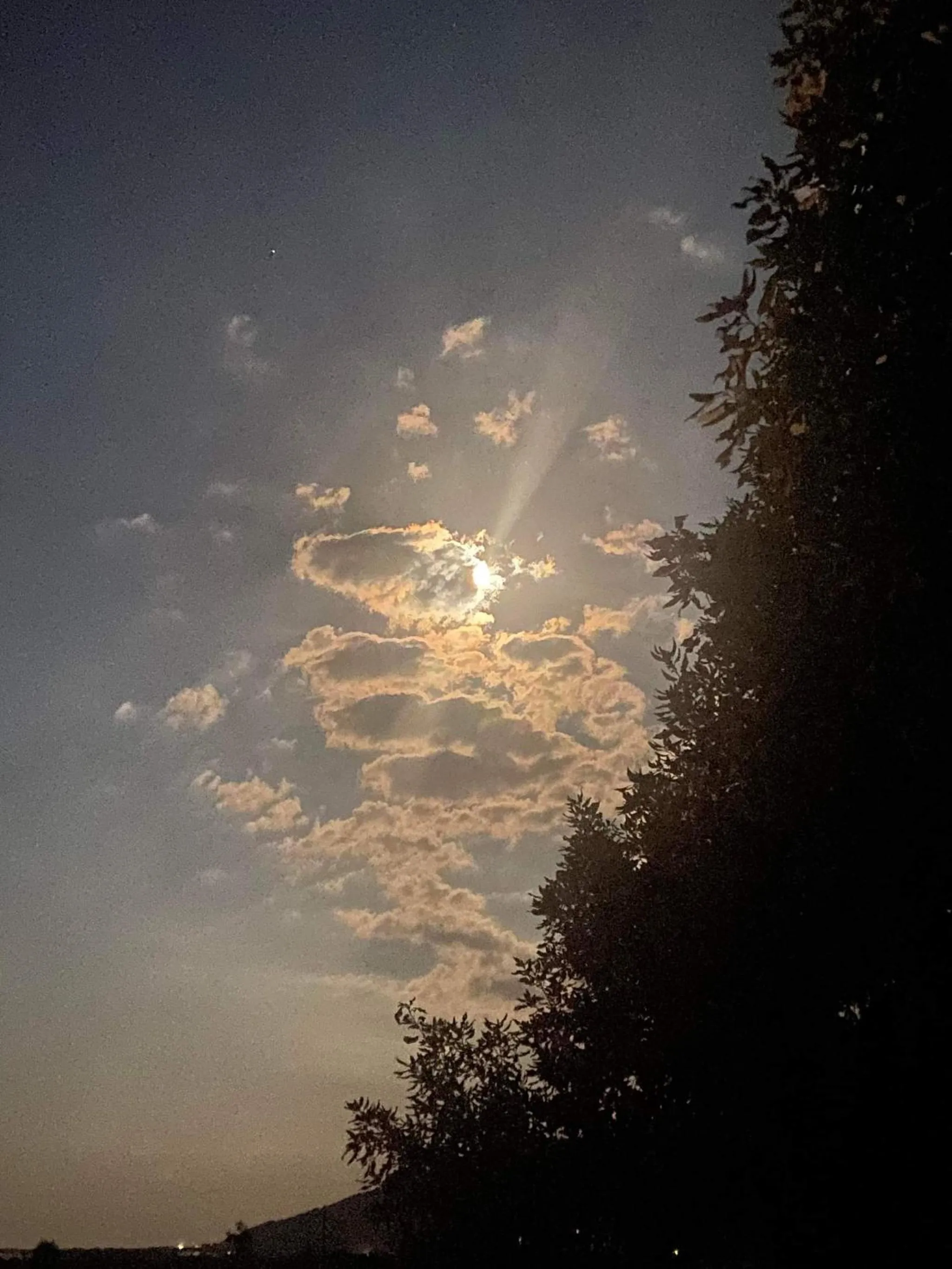 Natural landscape in Villa Cavalieri Country Hotel