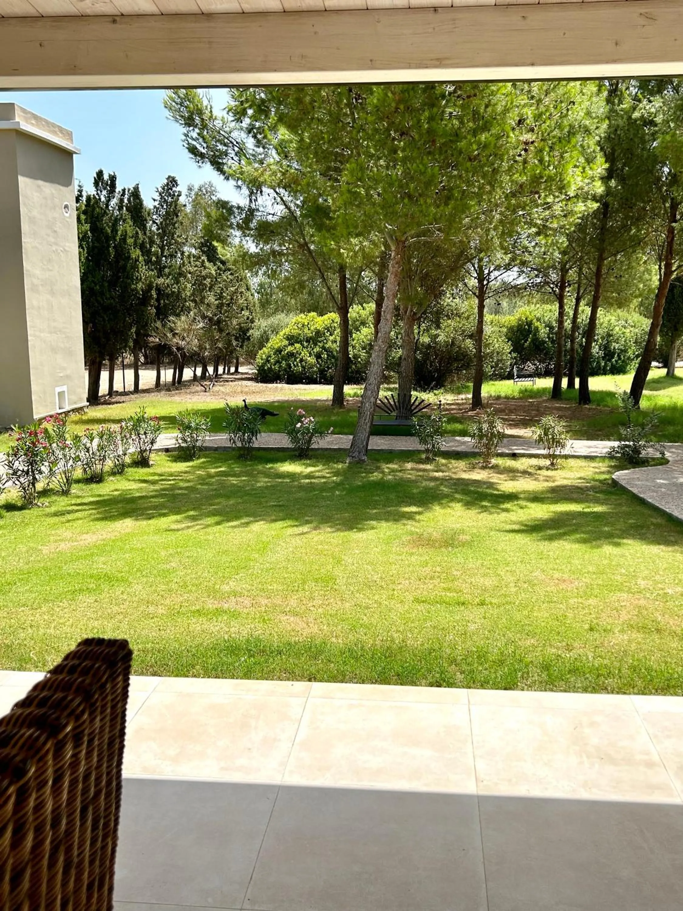 Garden in Villa Cavalieri Country Hotel