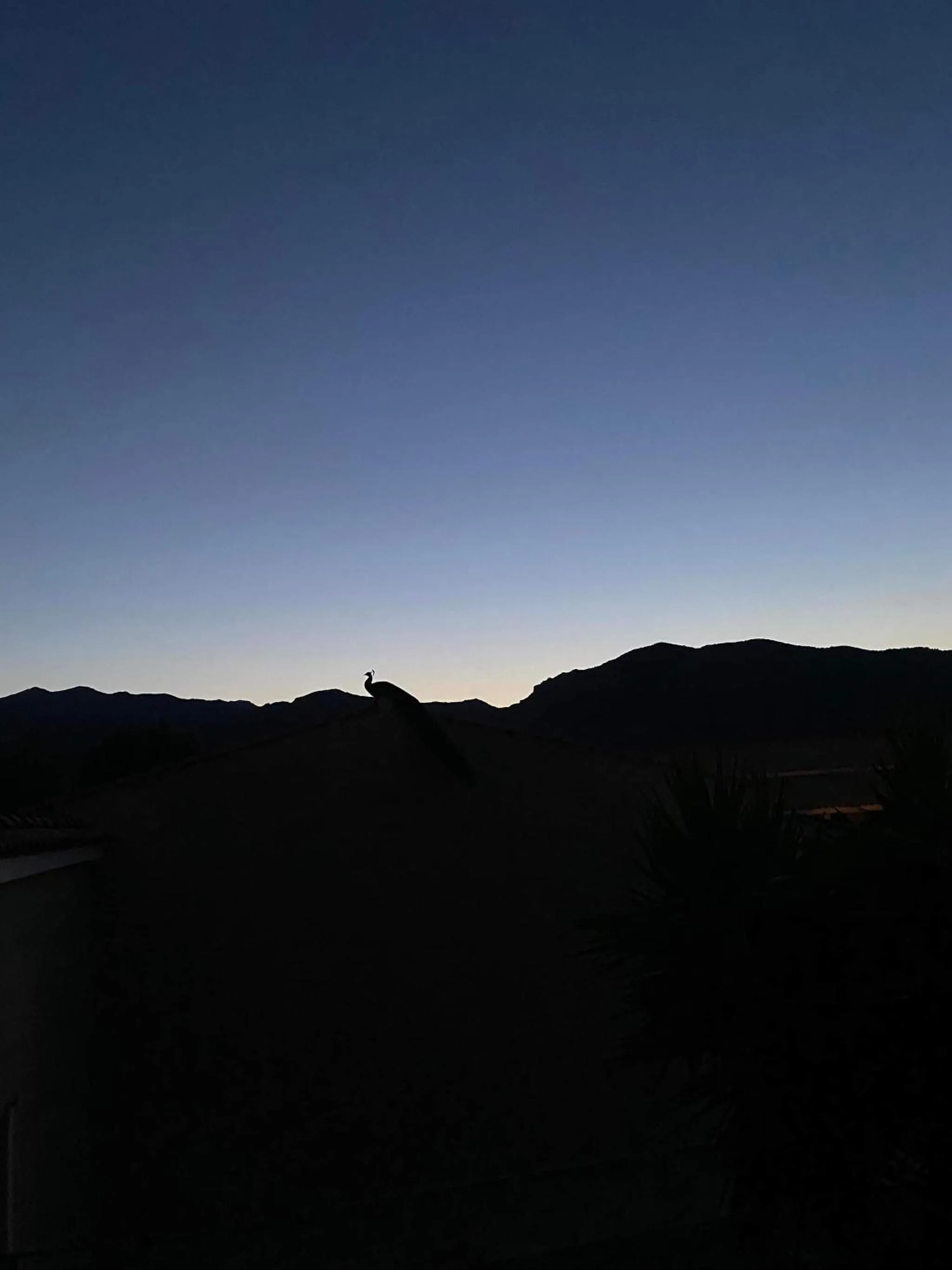 Natural landscape in Villa Cavalieri Country Hotel