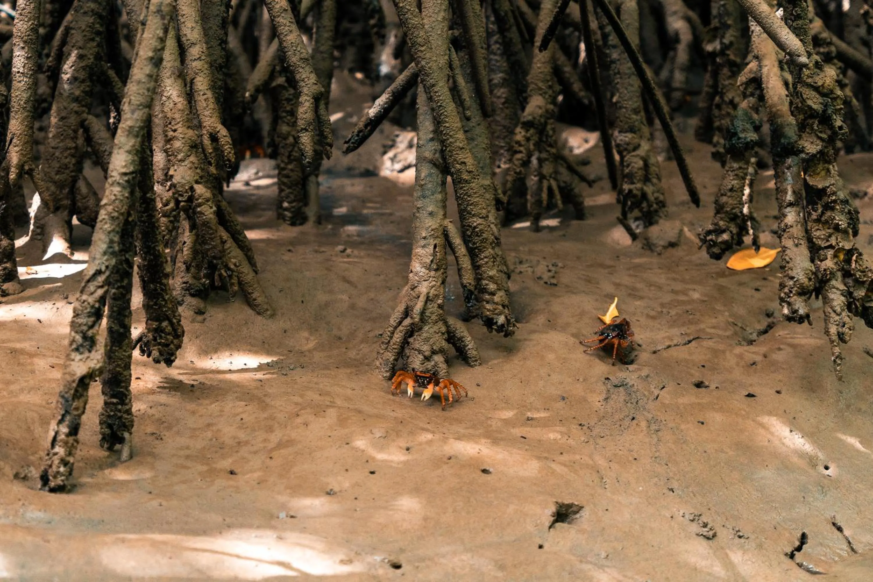 Property building in Hotel Icaraí Beach