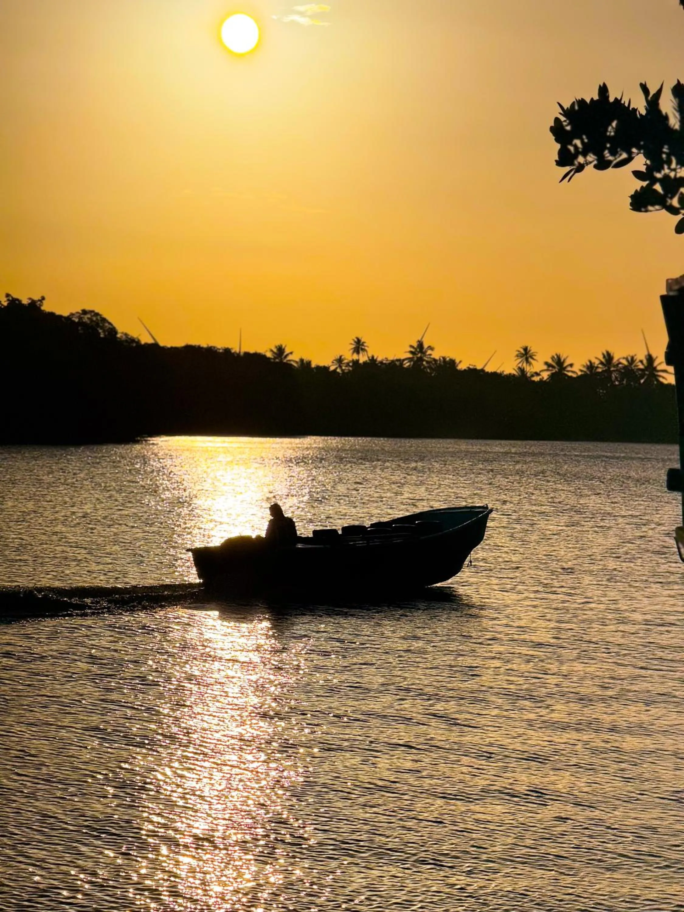 Natural landscape in Hotel Icaraí Beach