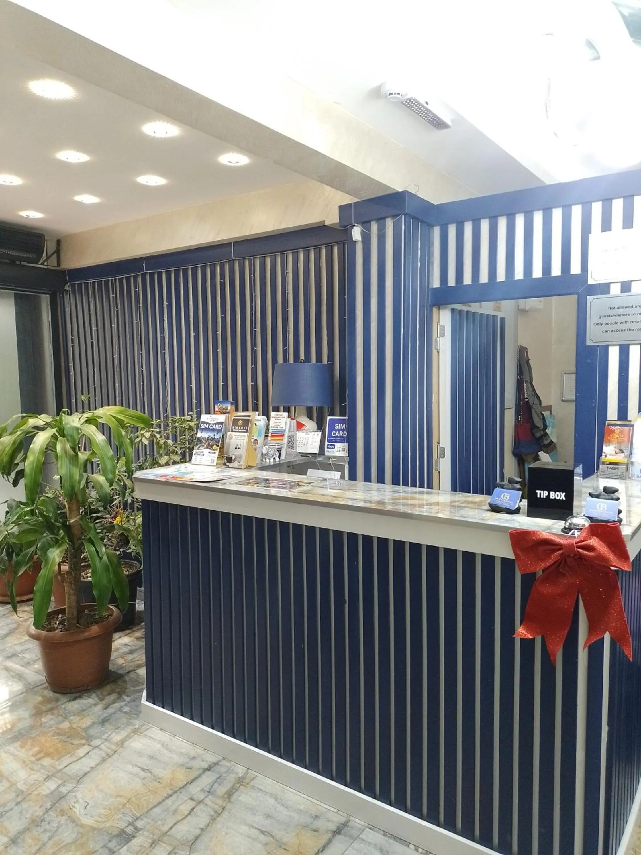 Lobby or reception in BALPETEK HOTEL