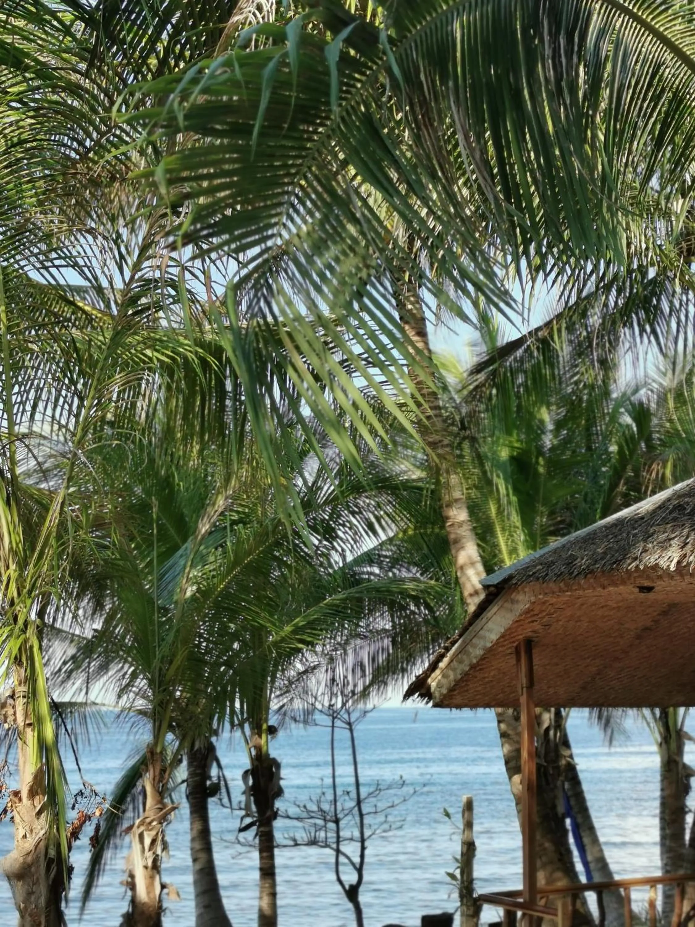 Day in Lazi Beach Club Resort