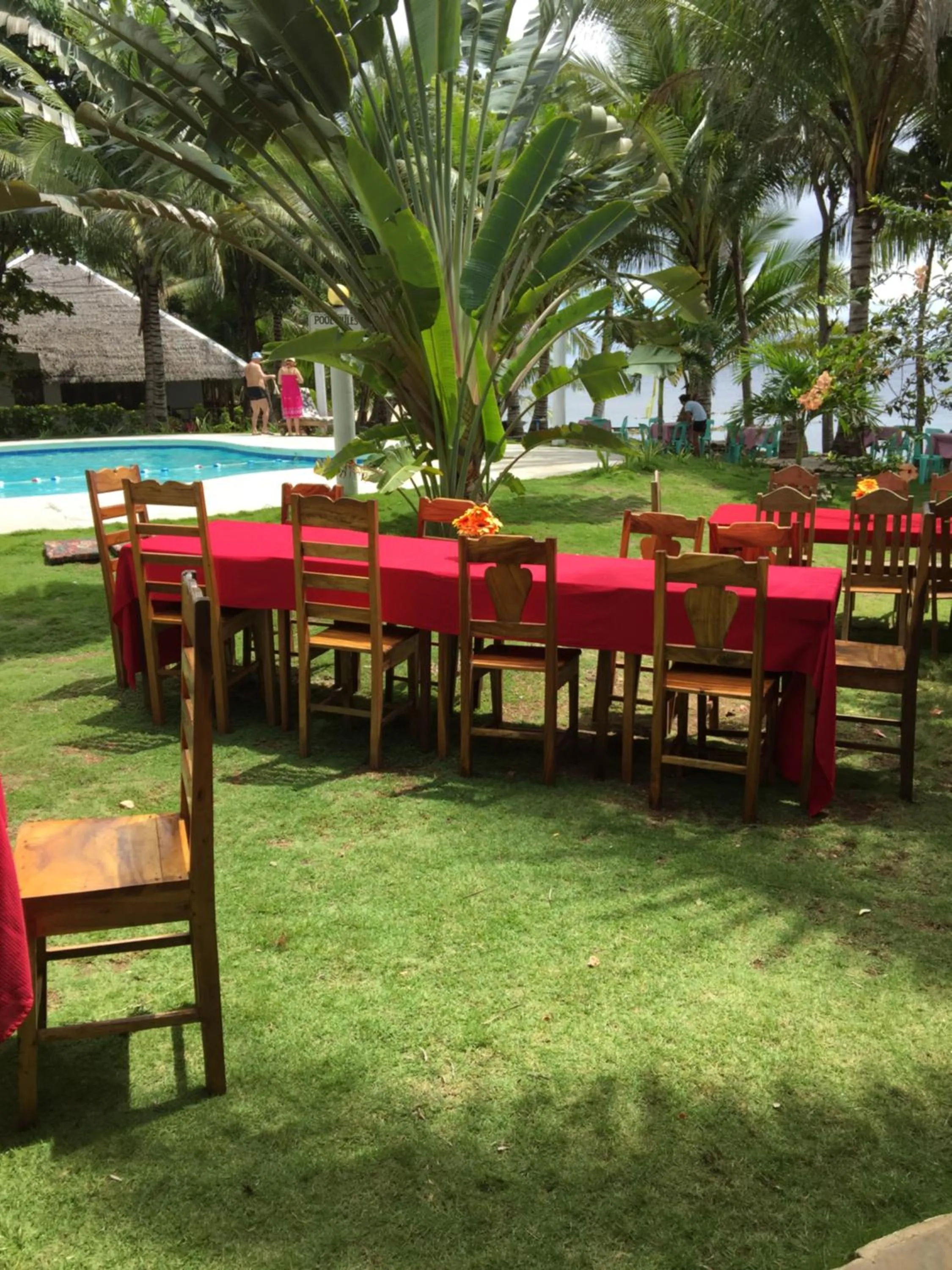 Natural landscape in Lazi Beach Club Resort