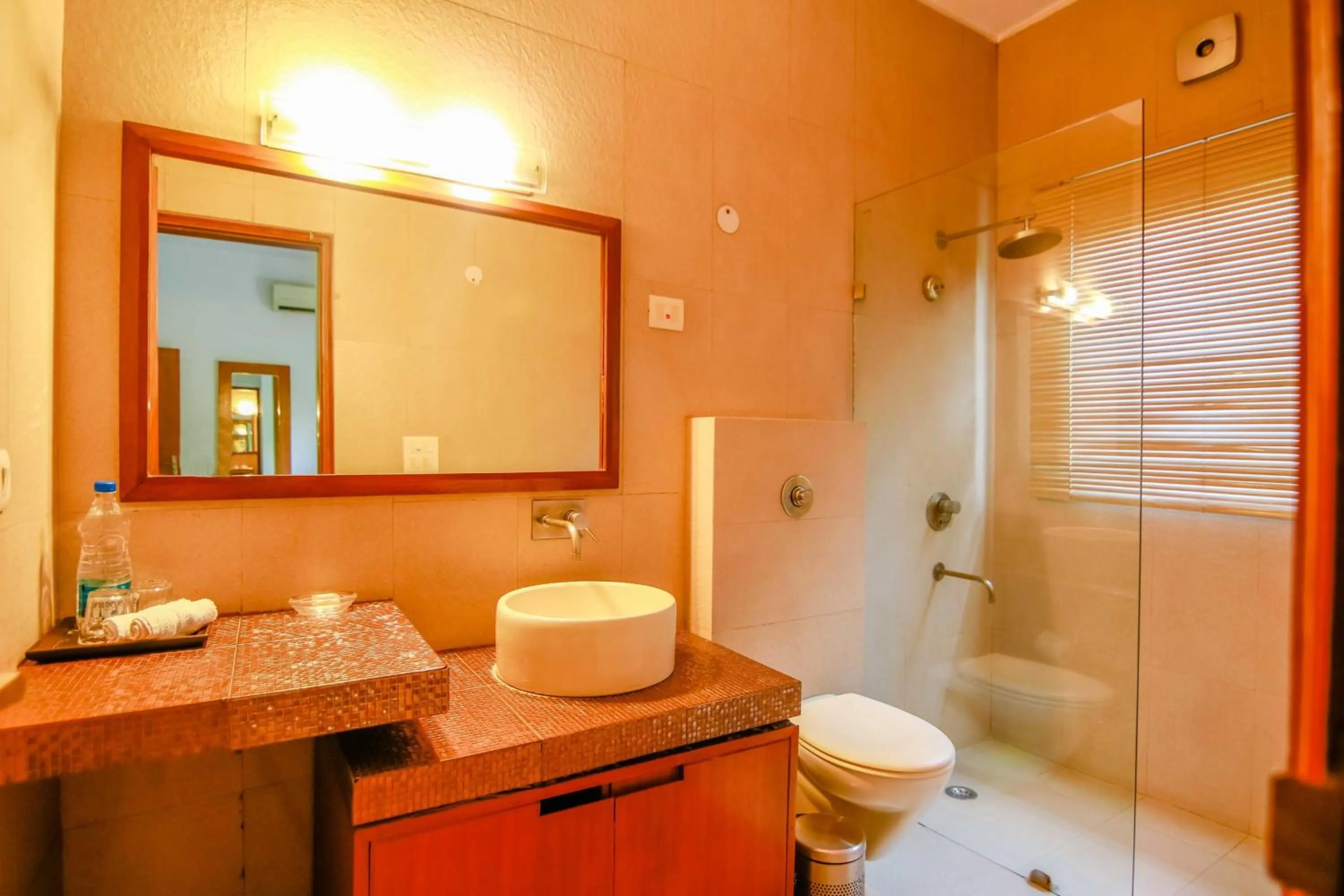 Shower in Thikana Delhi ( Boutique B&B)