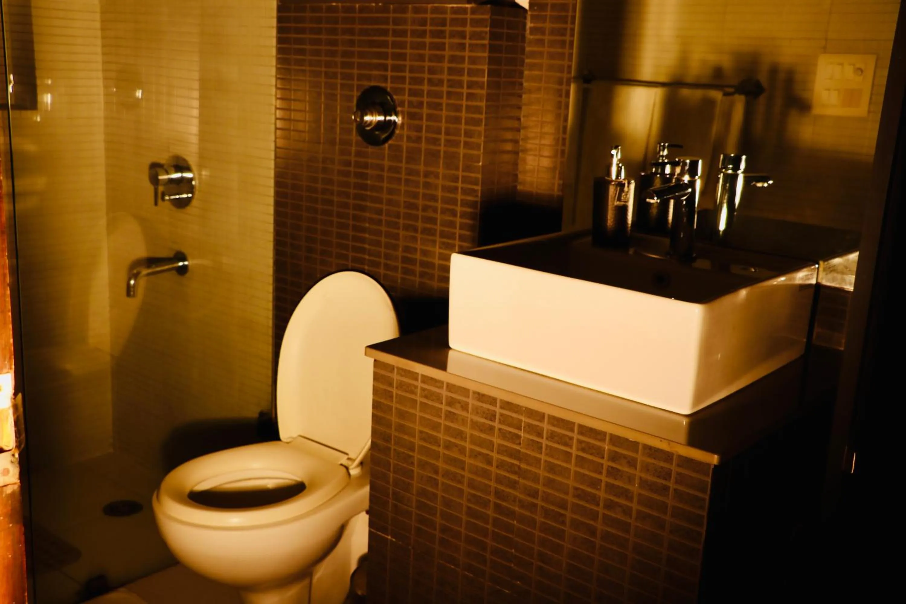 Toilet in Thikana Delhi ( Boutique B&B)