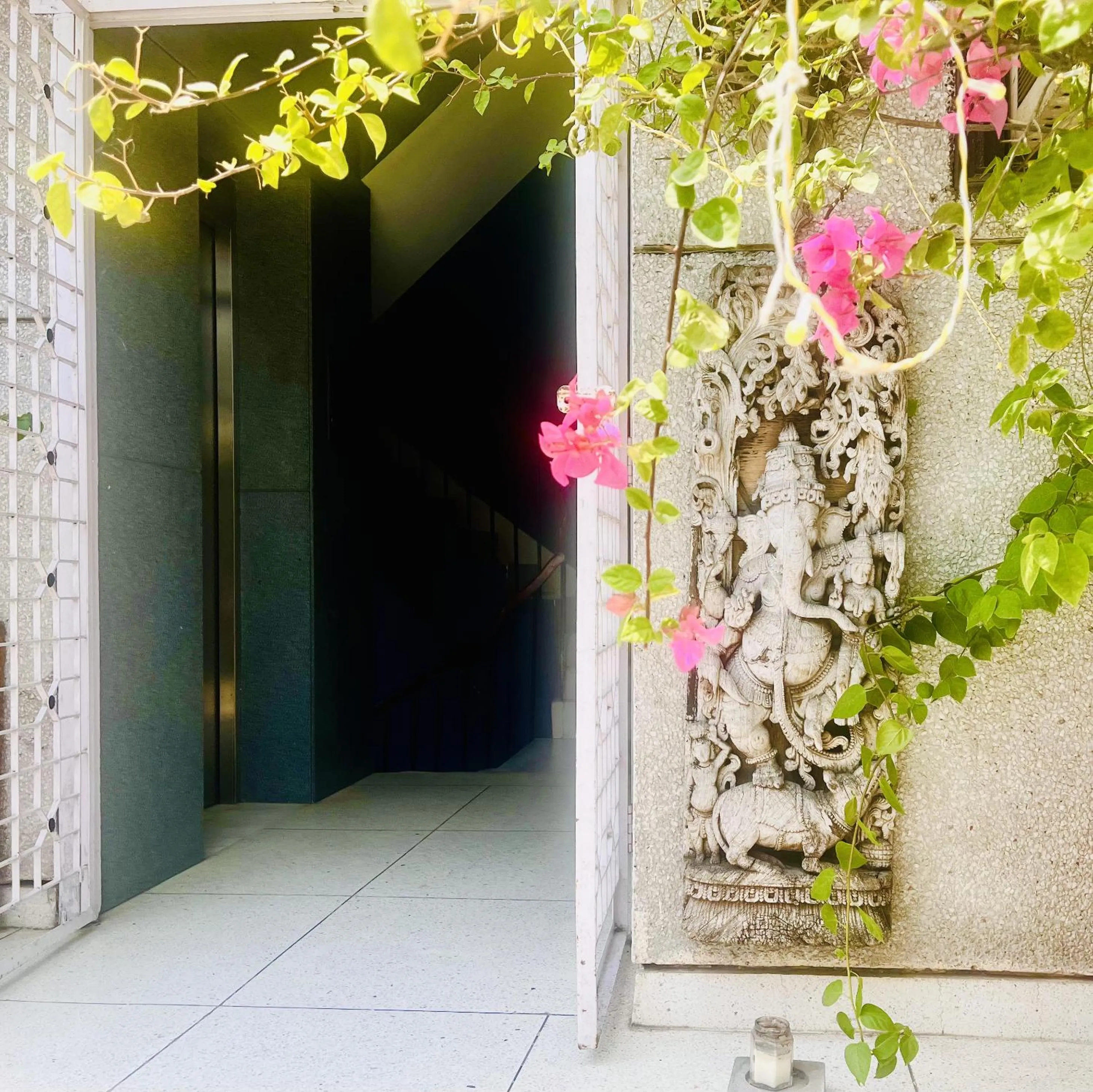 Spring in Thikana Delhi ( Boutique B&B)