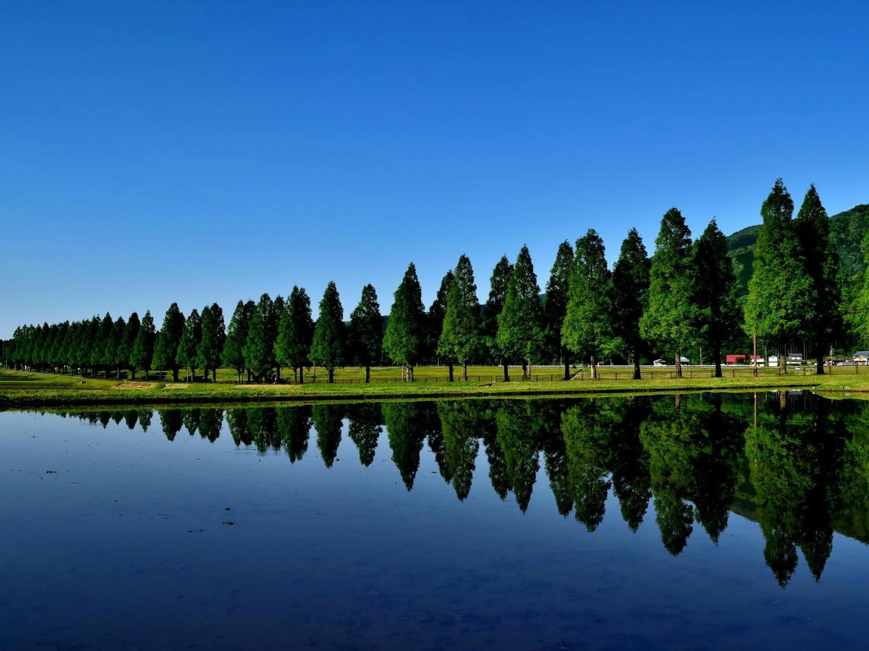 Nearby landmark in Grand Park Hotel Okubiwako Makino