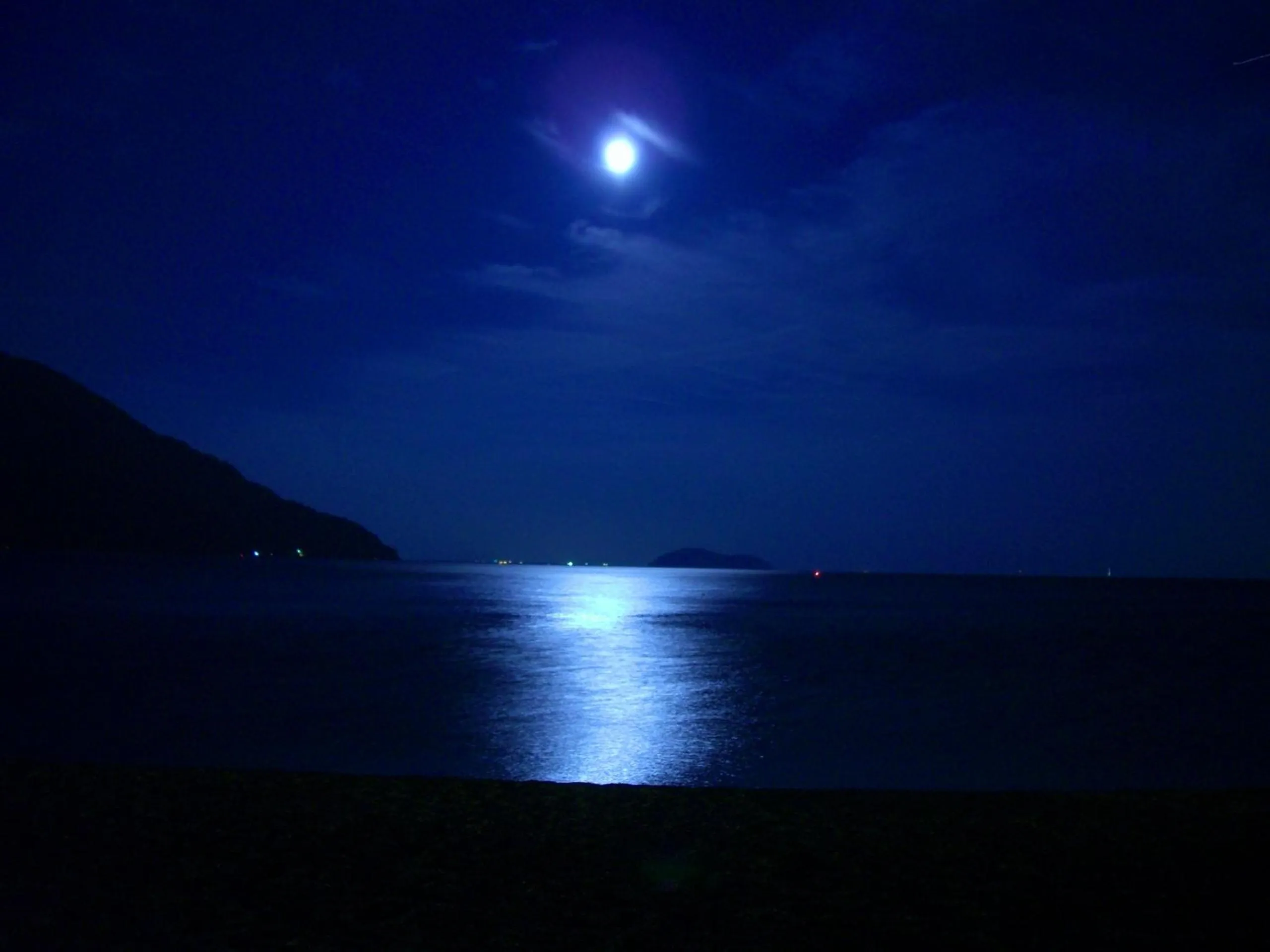 Natural landscape in Grand Park Hotel Okubiwako Makino