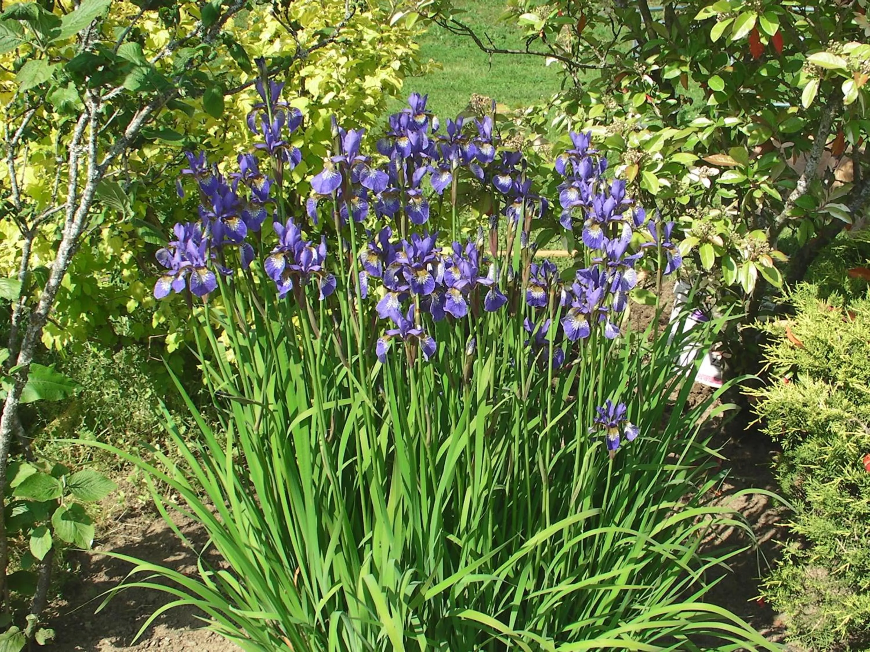 Property building in Maison Chabrat