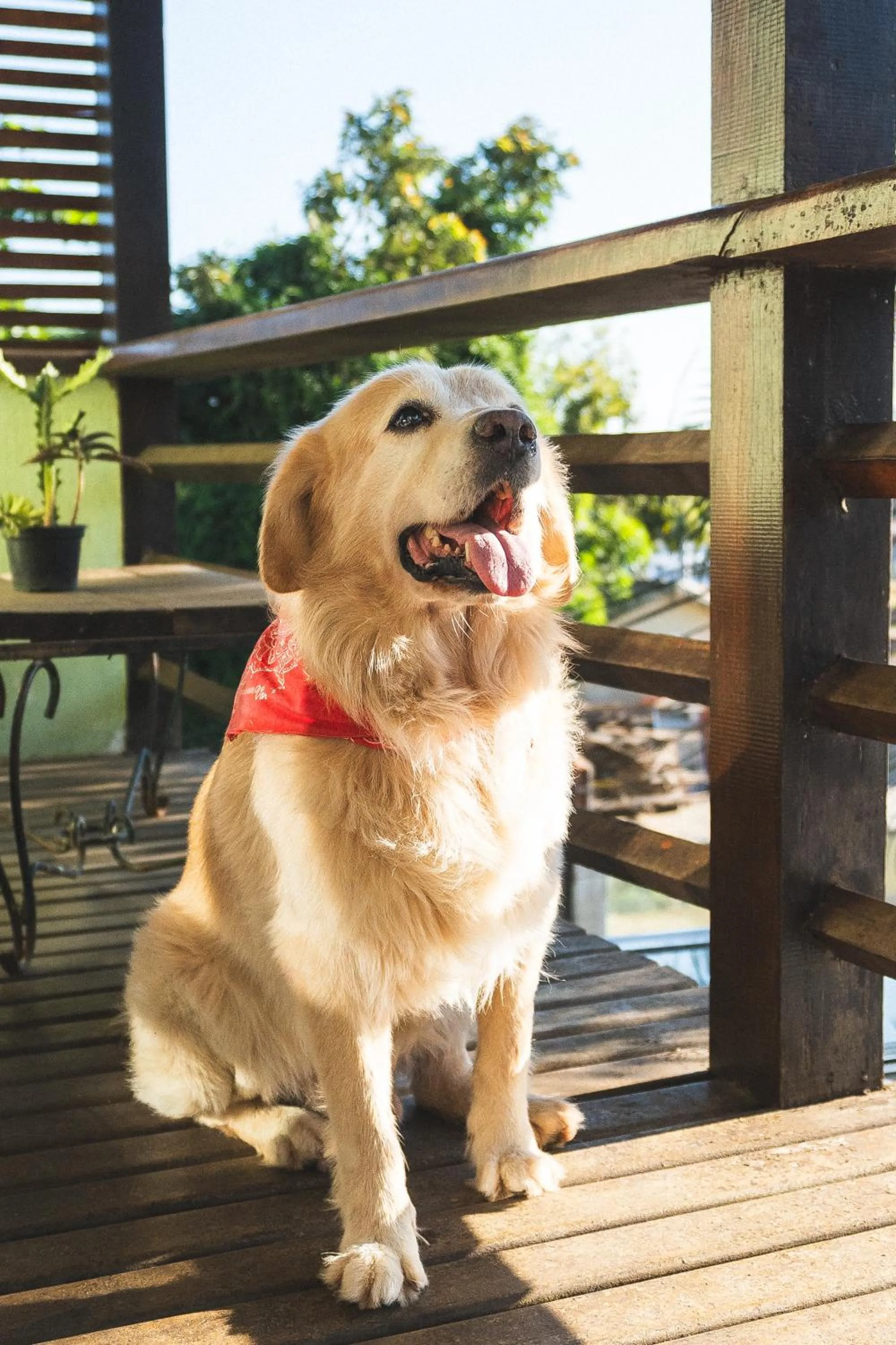 POUSADA ENCANTO DO AMOR