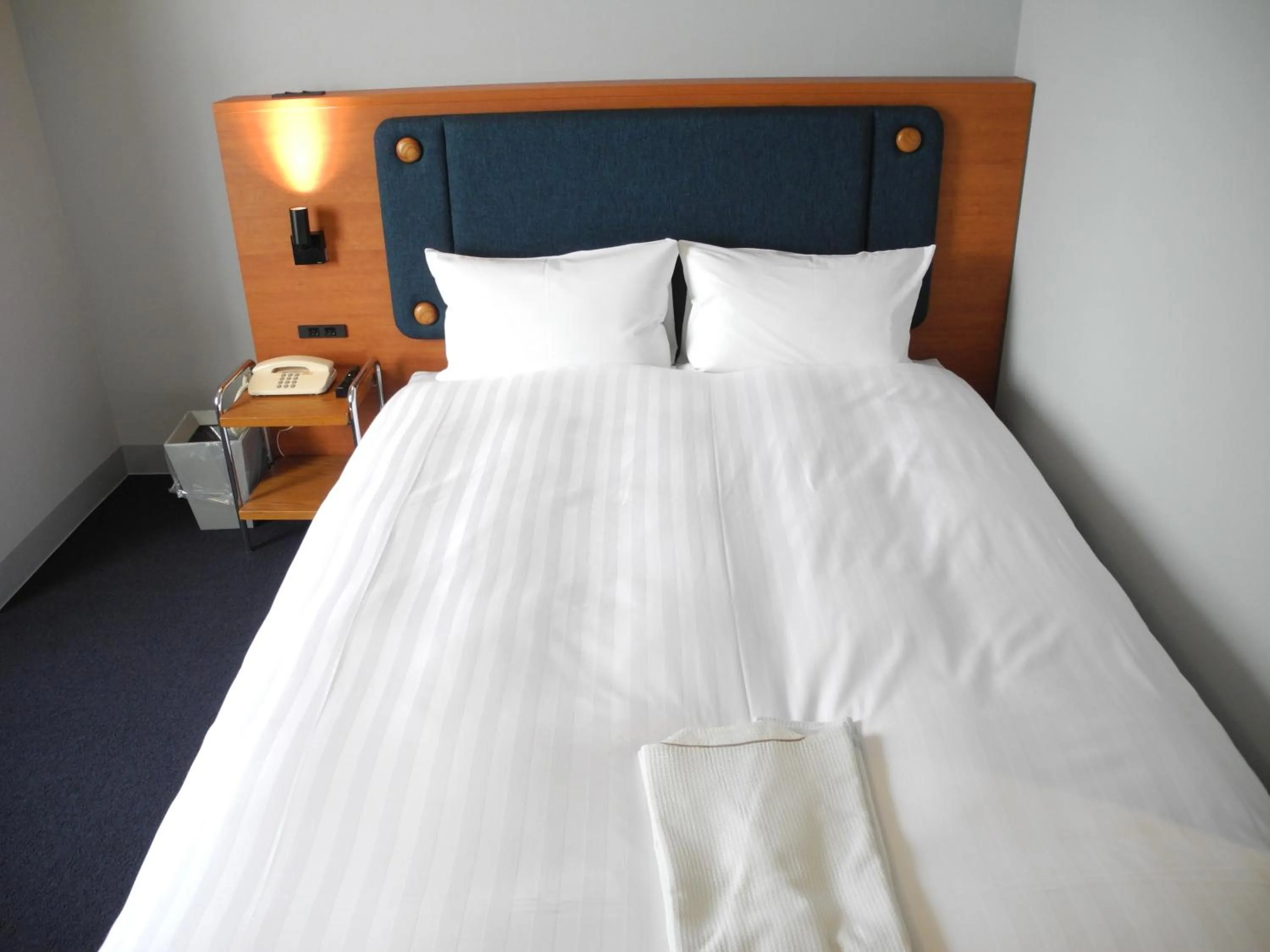 Double Room - single occupancy in Hotel Global View Tsuchiura