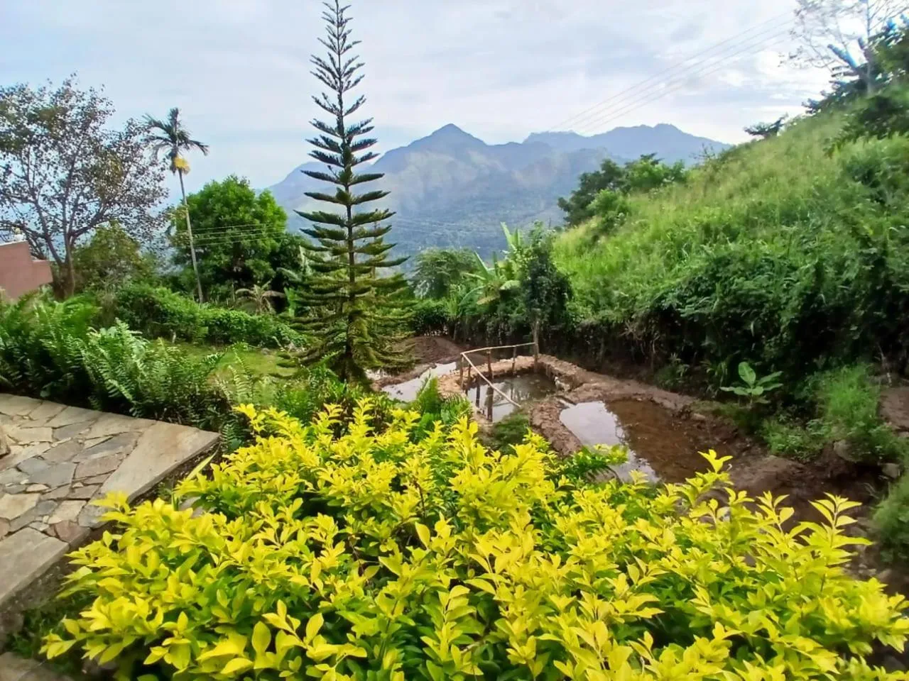 Natural landscape in Awesome Place