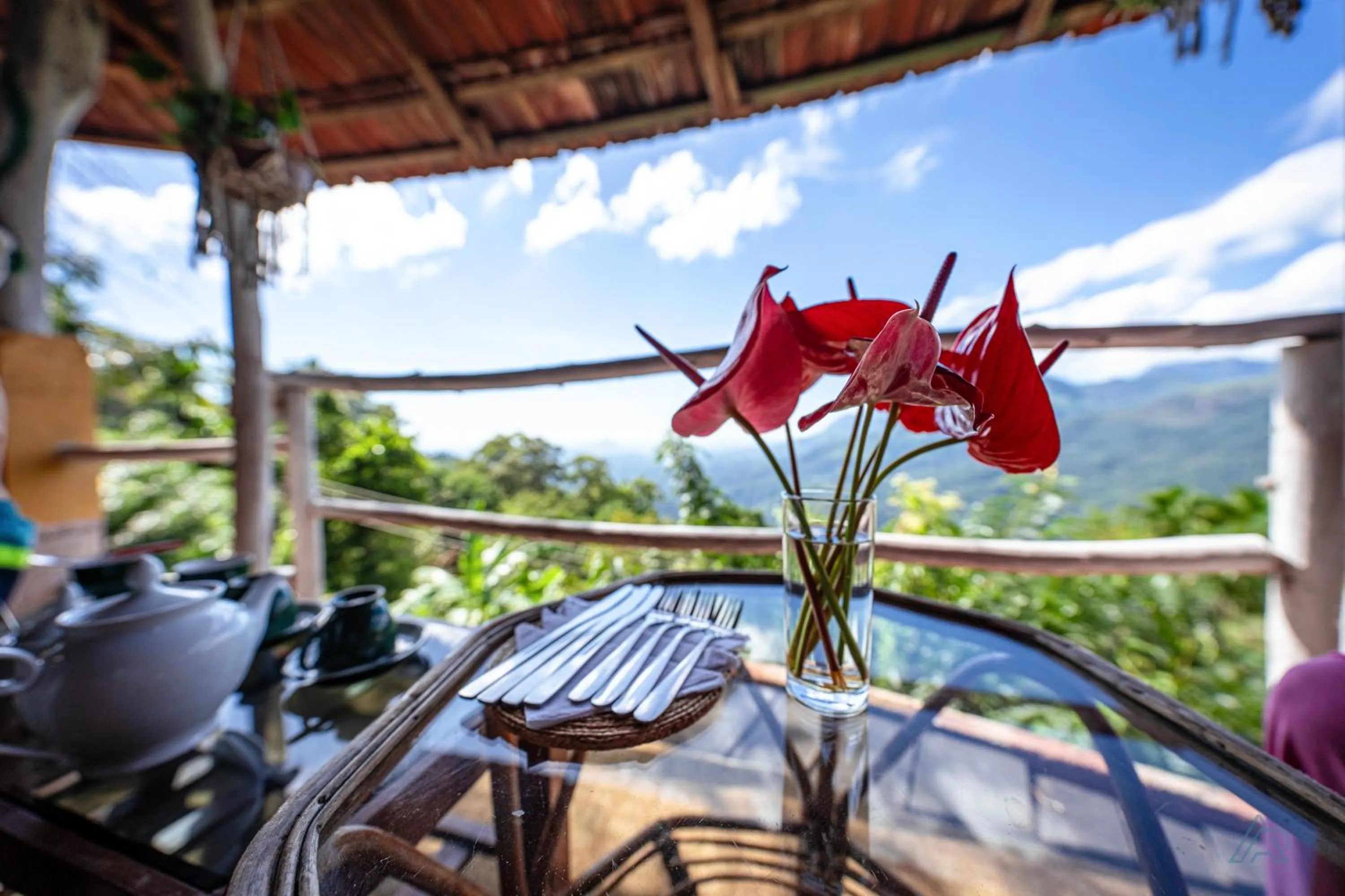 View (from property/room) in Awesome Place