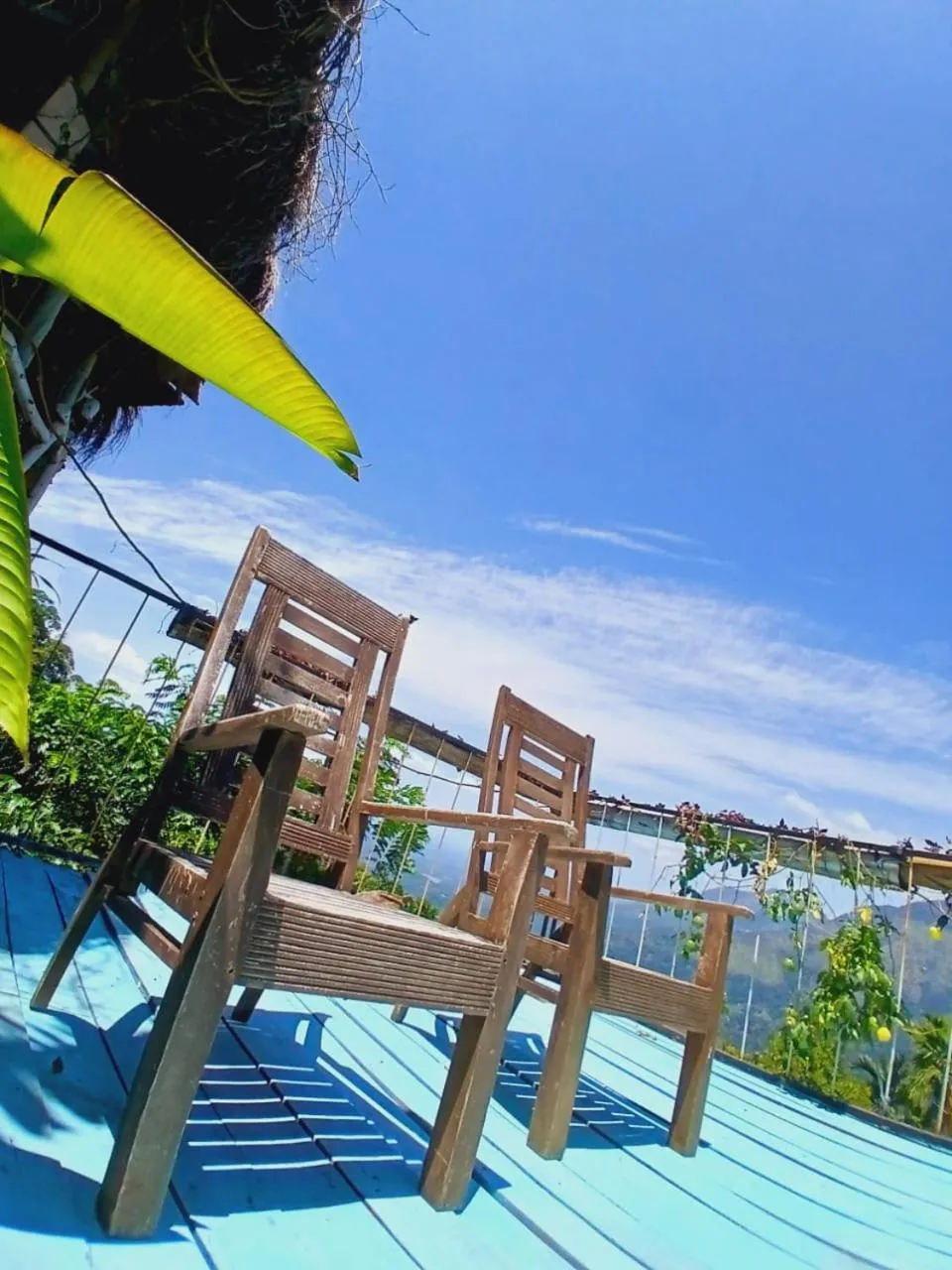 View (from property/room) in Awesome Place