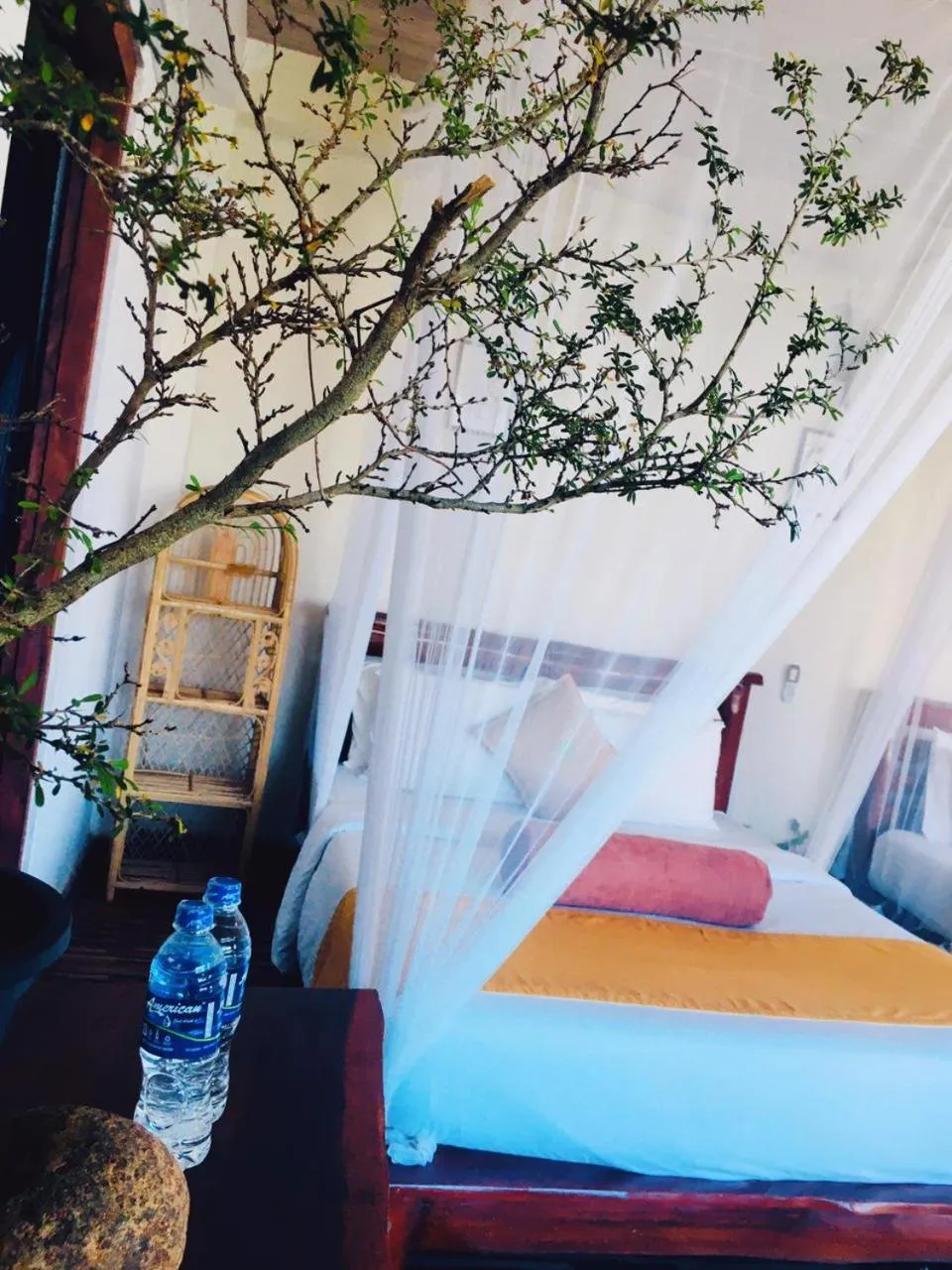 Bed in Awesome Place