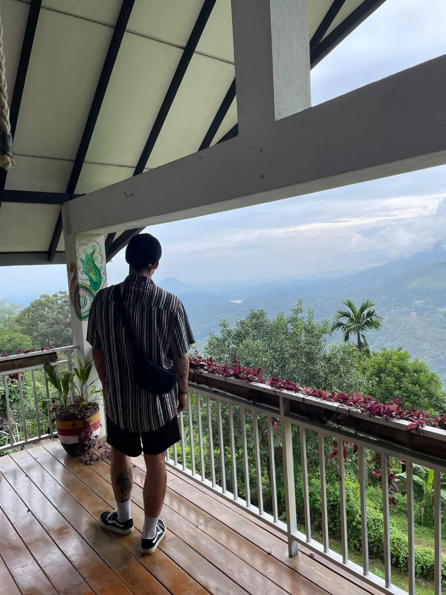 View (from property/room) in Awesome Place