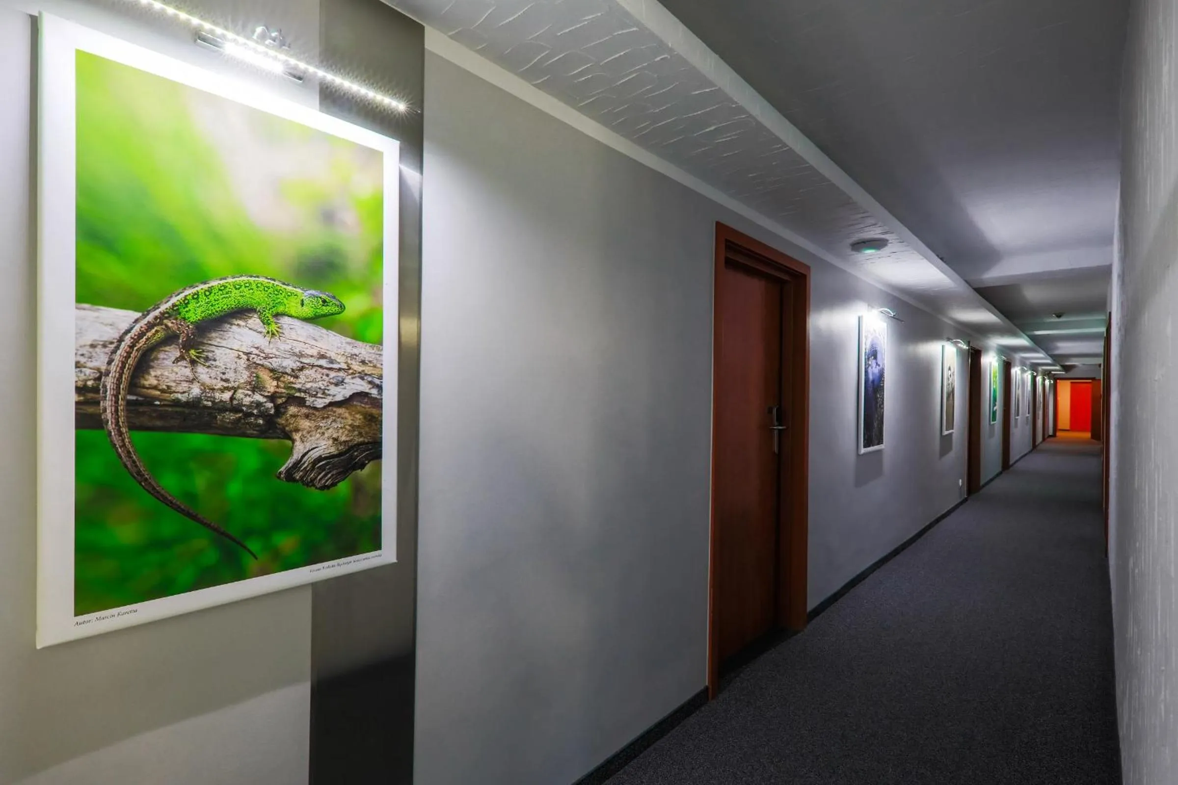 Property building in Hotel Pod Jedlami