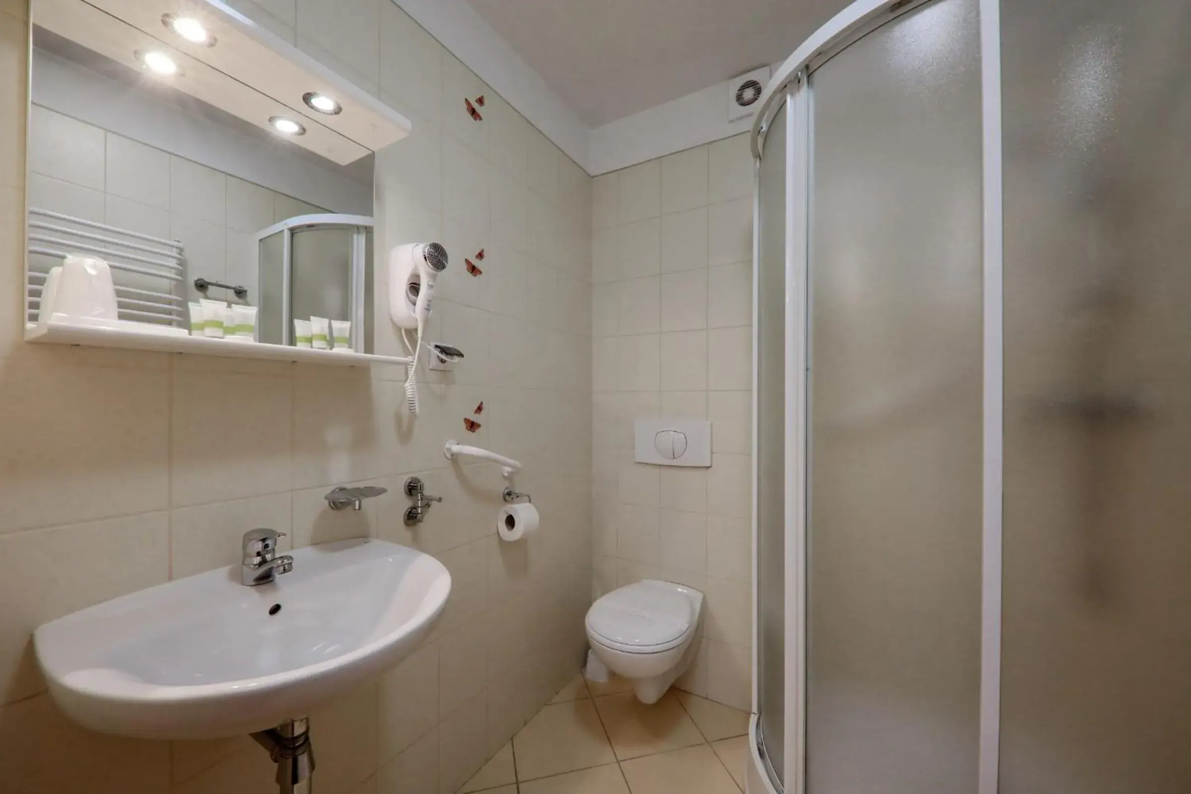 Standard Double or Twin Room in Hotel Pod Jedlami Standard Double or Twin Room in Hotel Pod Jedlami