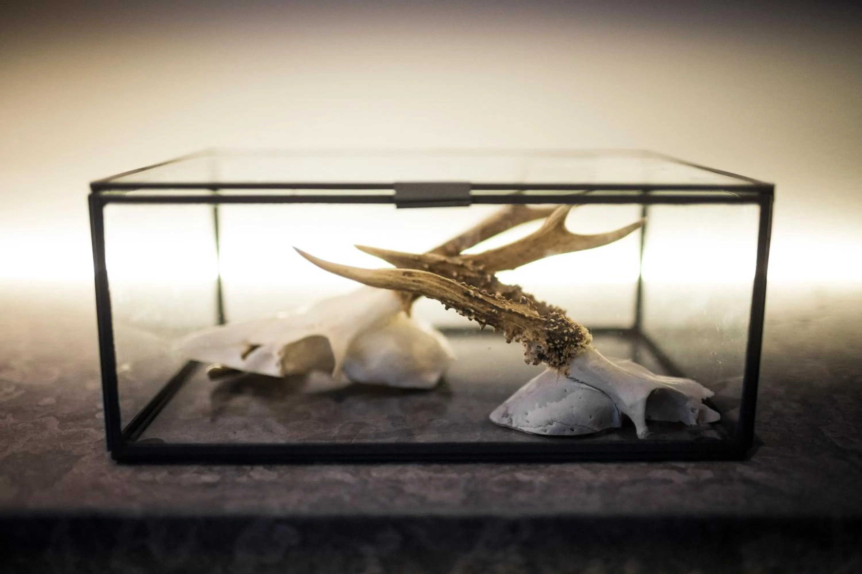 Decorative detail in PM & Vänner Hotel