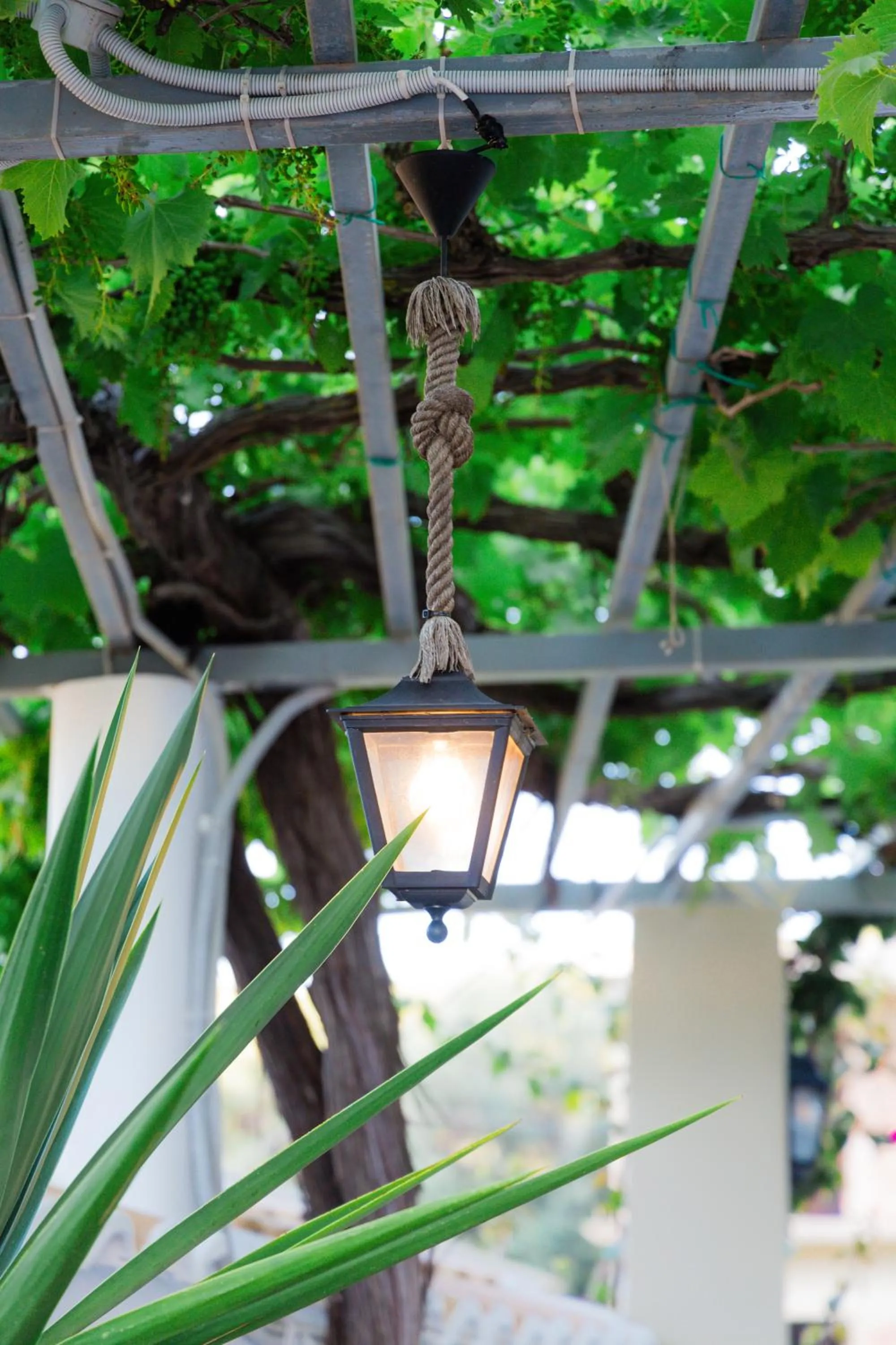 Property building in Sunsea Wellness Resort