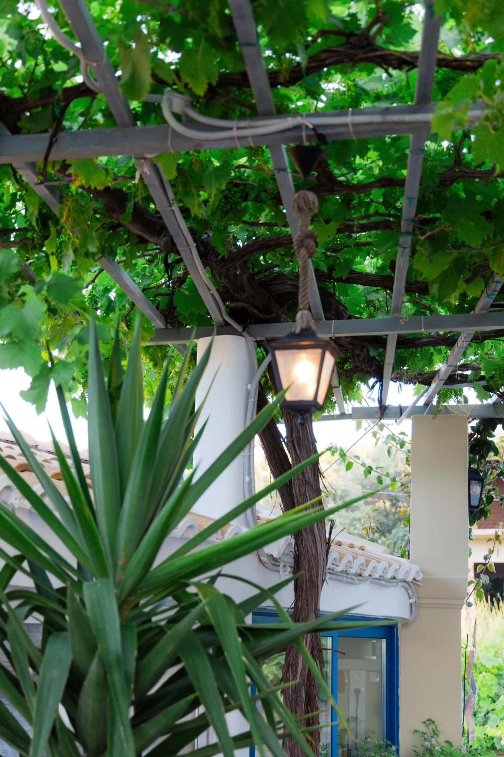 Property building in Sunsea Wellness Resort