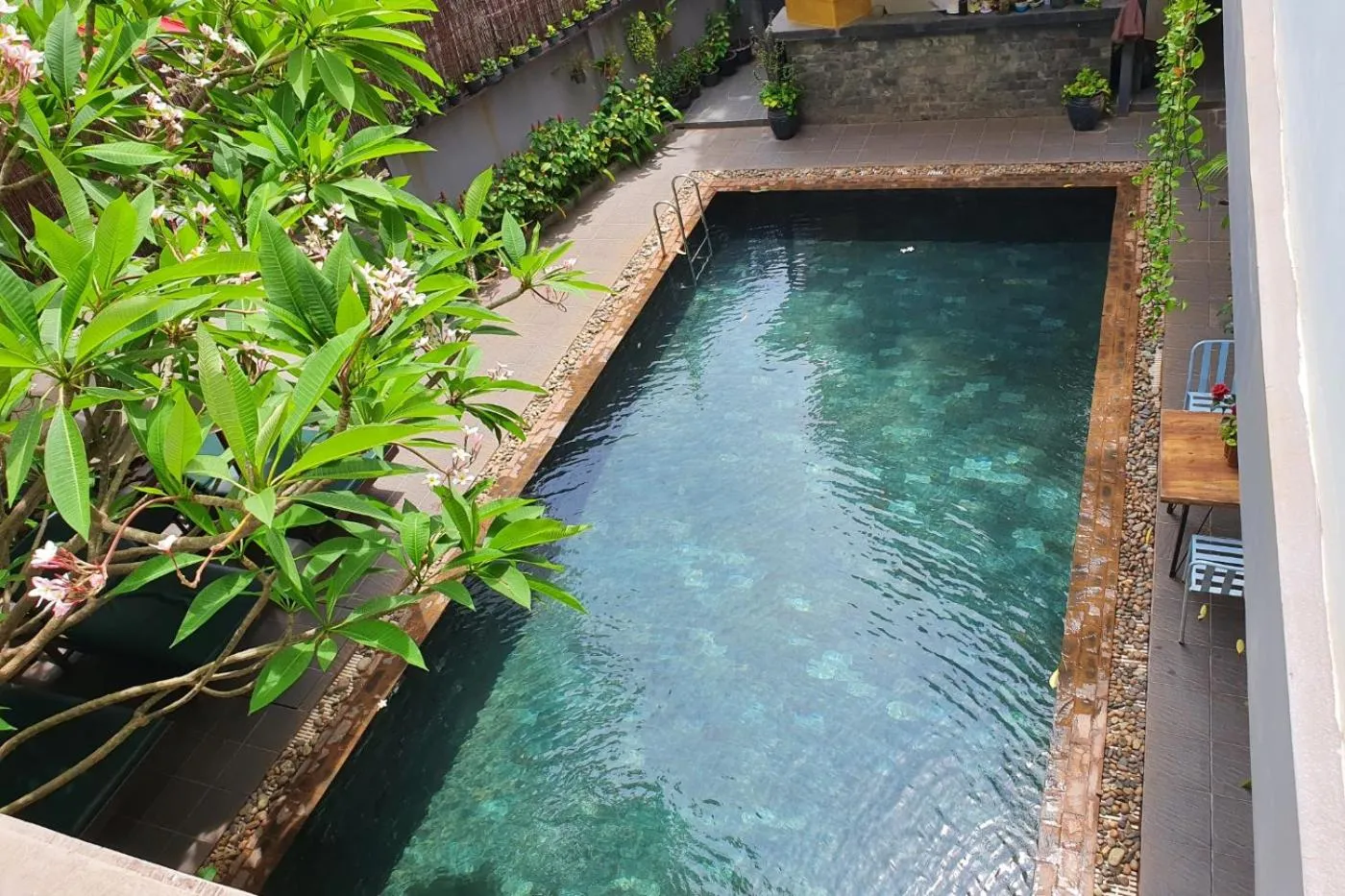 Garden view in Siem Reap Tevi Residence