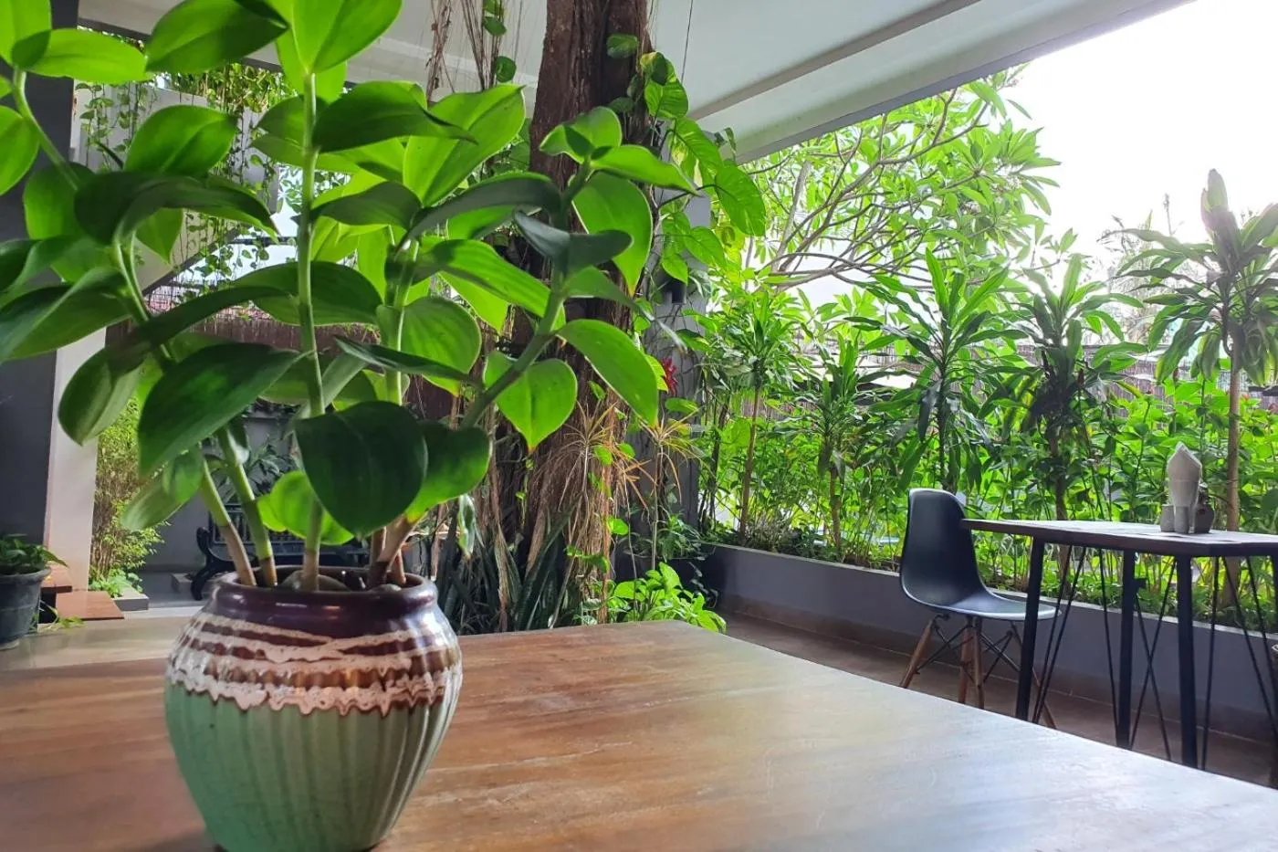 Patio in Siem Reap Tevi Residence