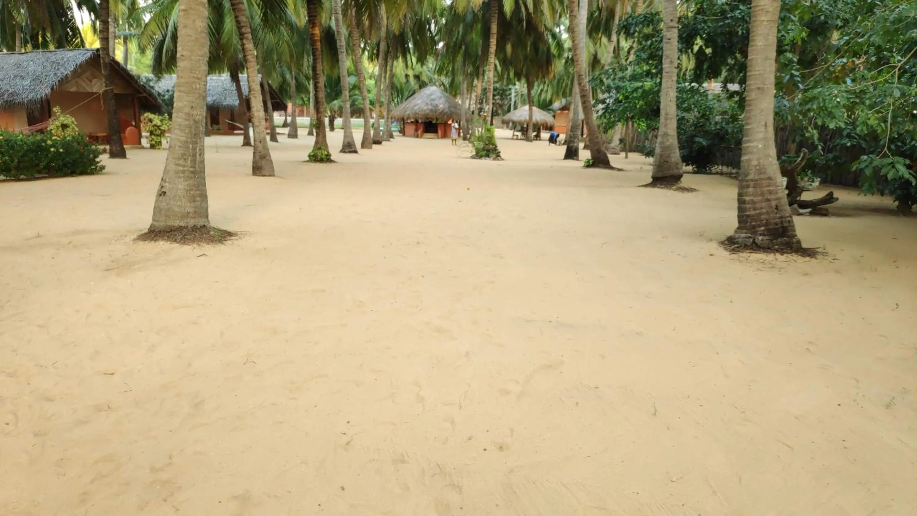 Facade/entrance in Roshanne Beach Resort, Kalpitiya