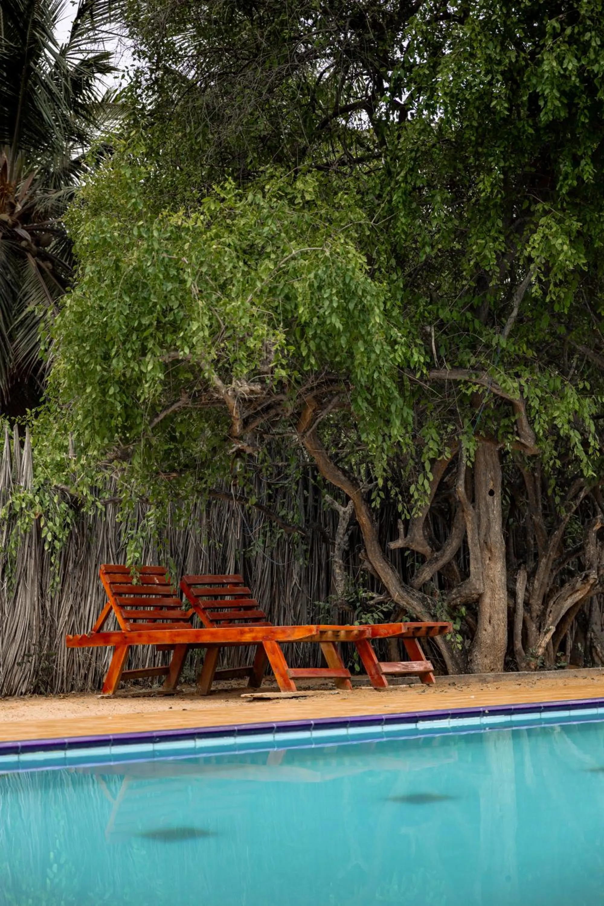 Pool view in Roshanne Beach Resort, Kalpitiya