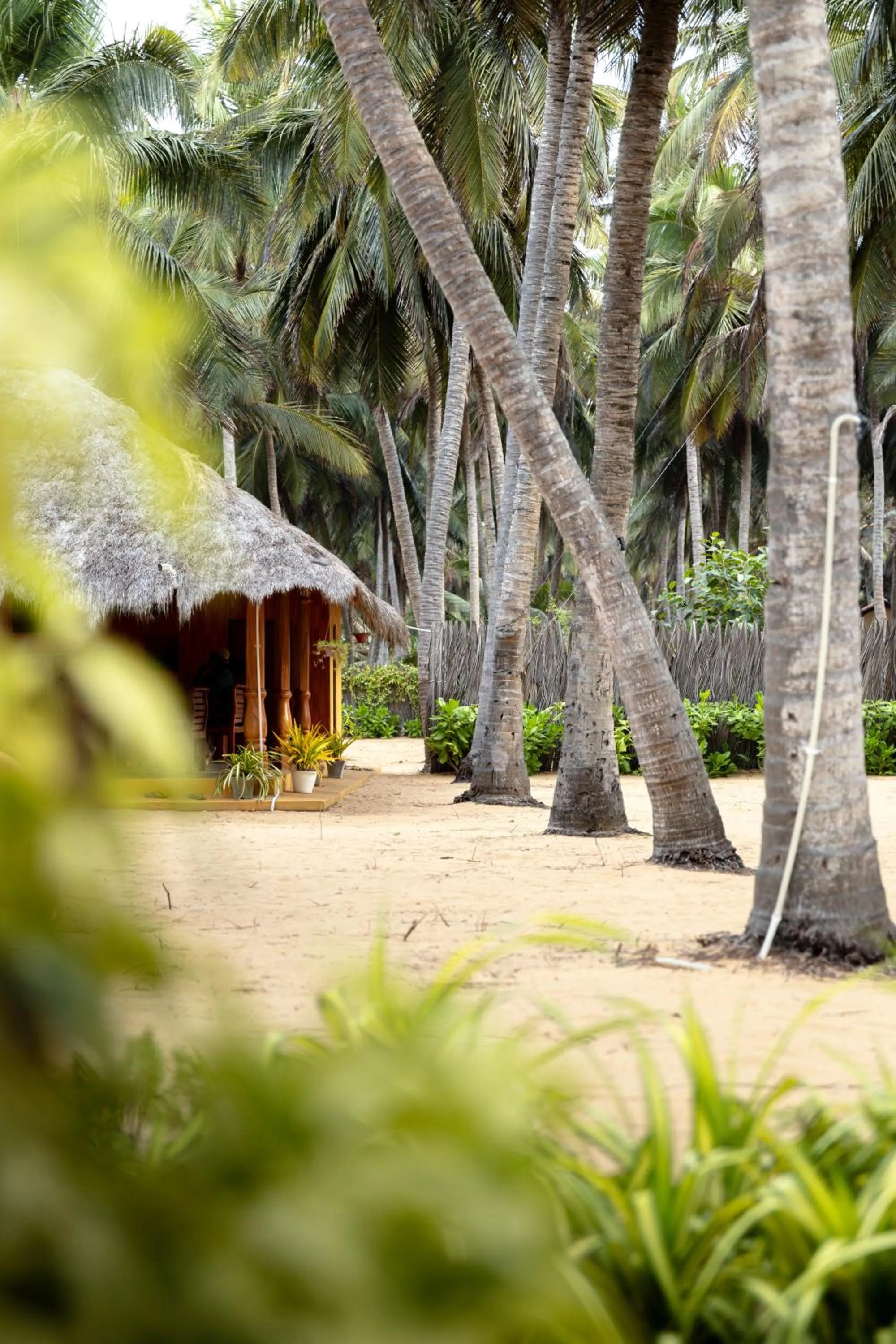 Property building in Roshanne Beach Resort, Kalpitiya