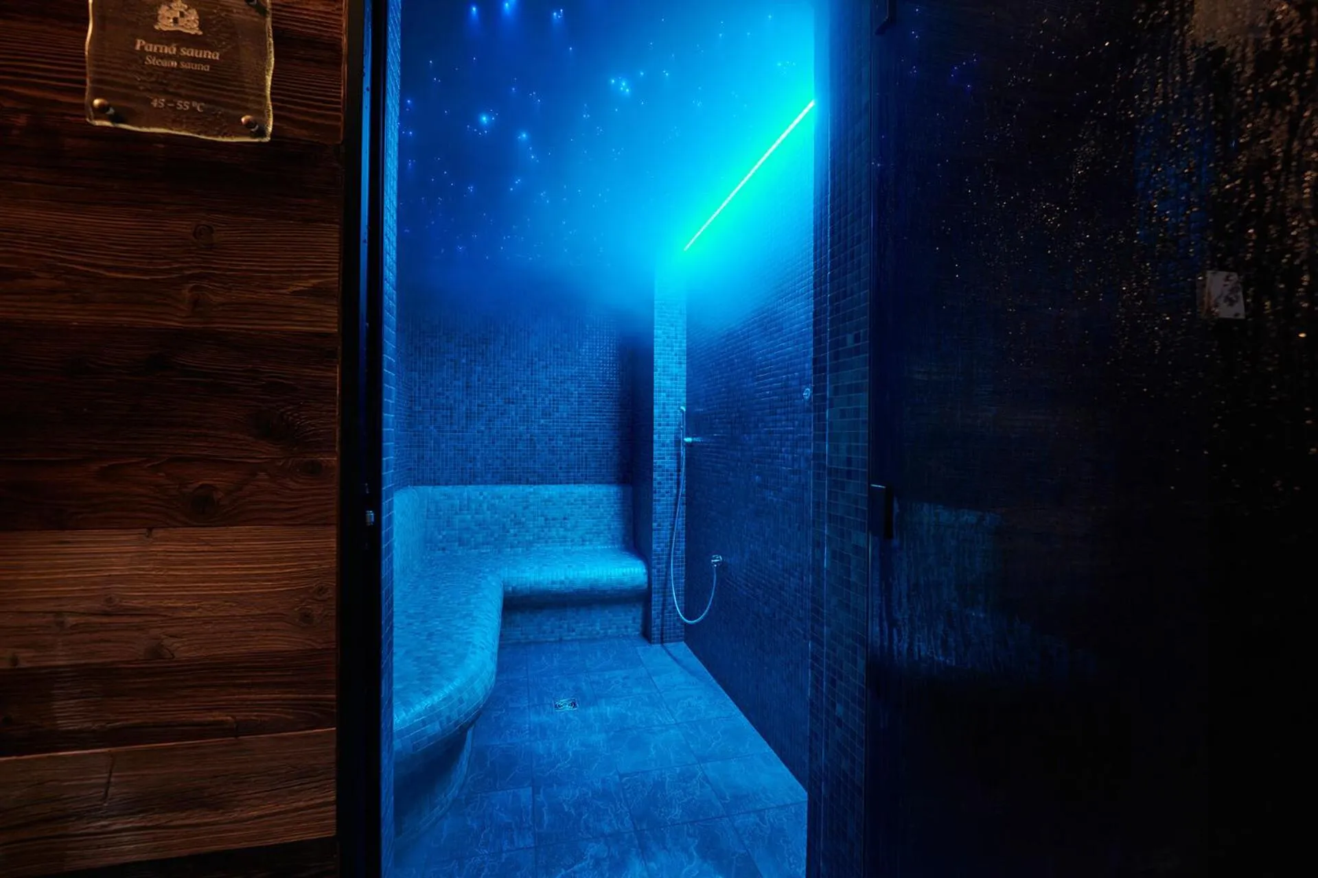 Steam room in Boutique Hotel ERB - Adults Only